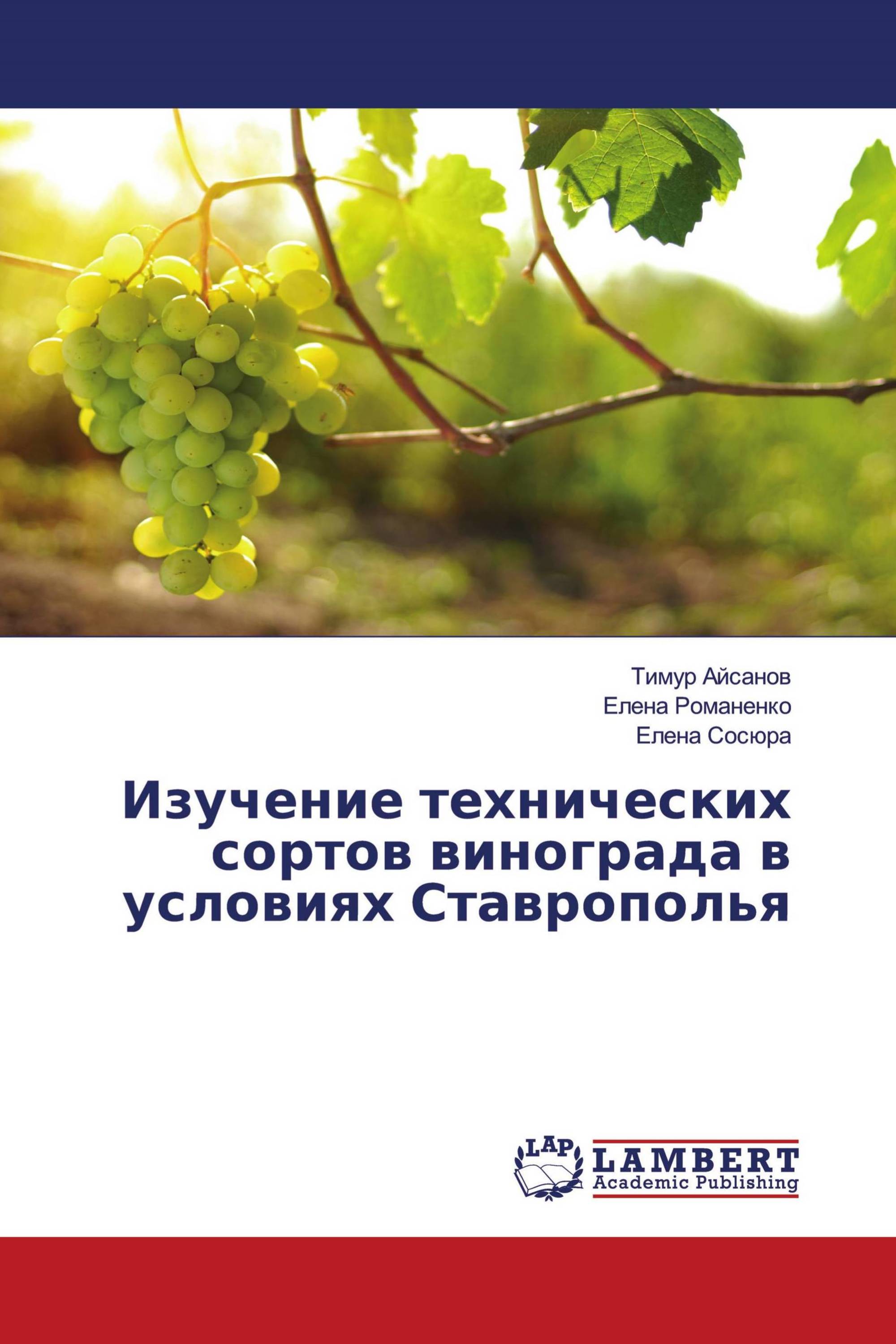 Изучение технических сортов винограда в условиях Ставрополья