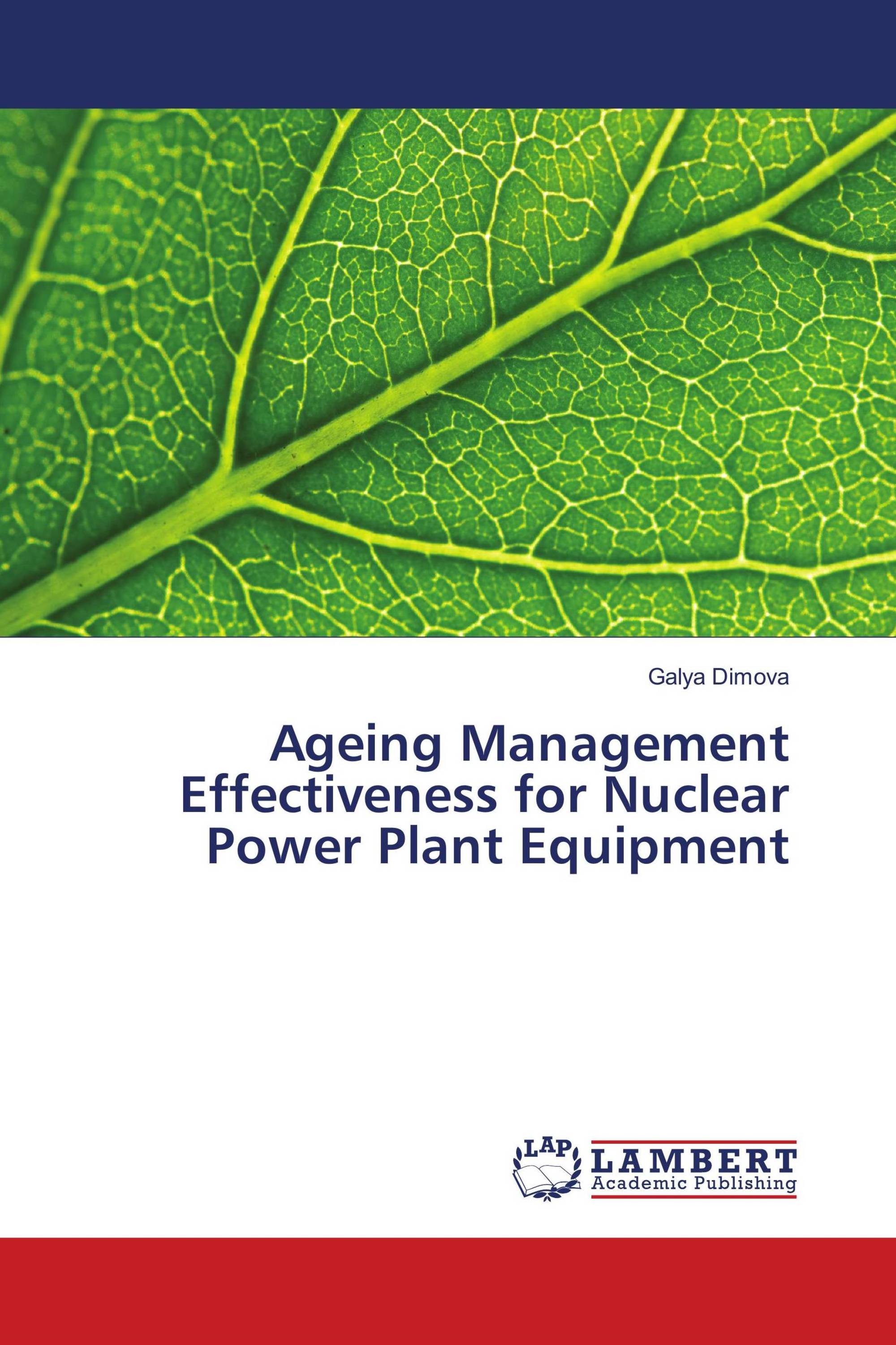 Ageing Management Effectiveness for Nuclear Power Plant Equipment