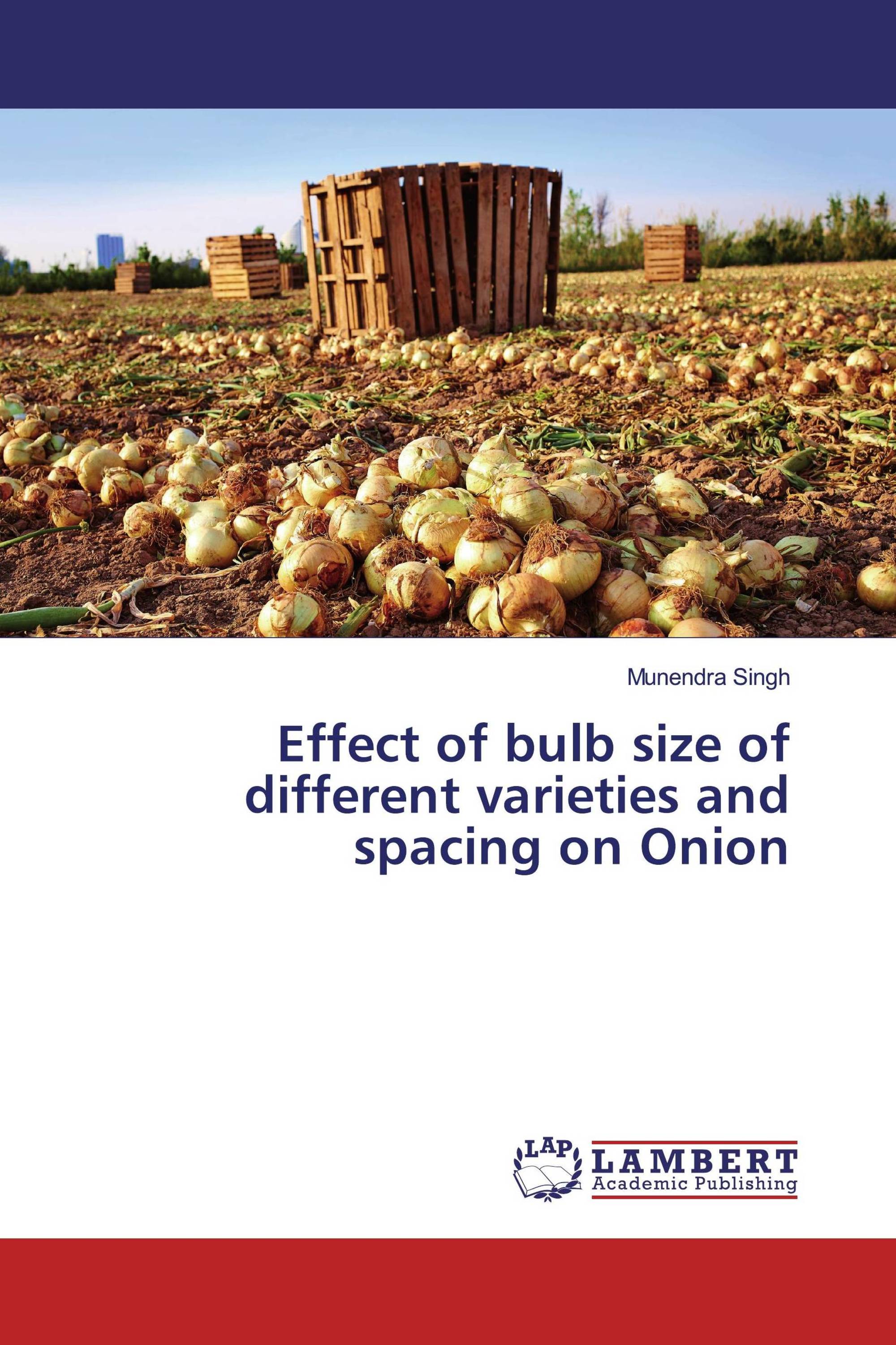 Effect of bulb size of different varieties and spacing on Onion