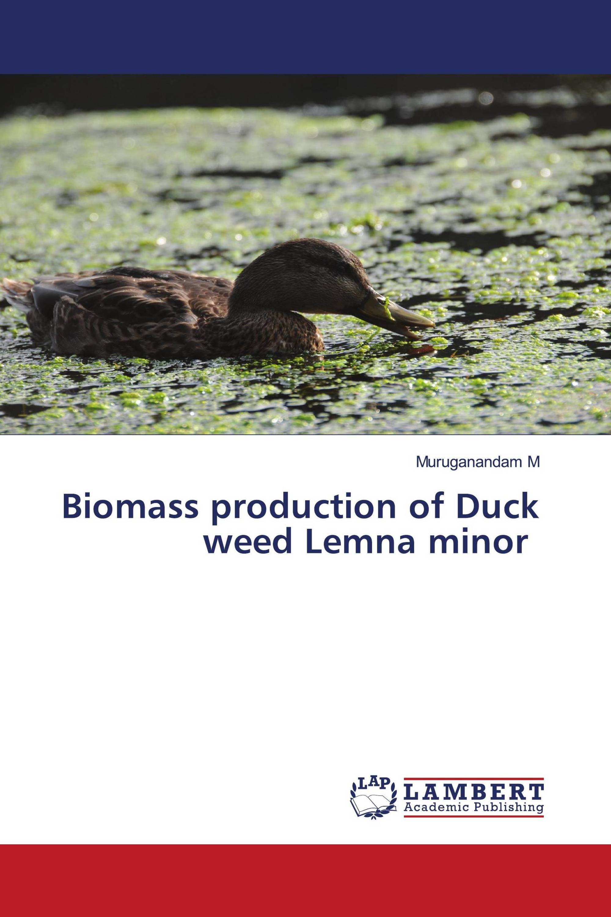 Biomass production of Duck weed Lemna minor