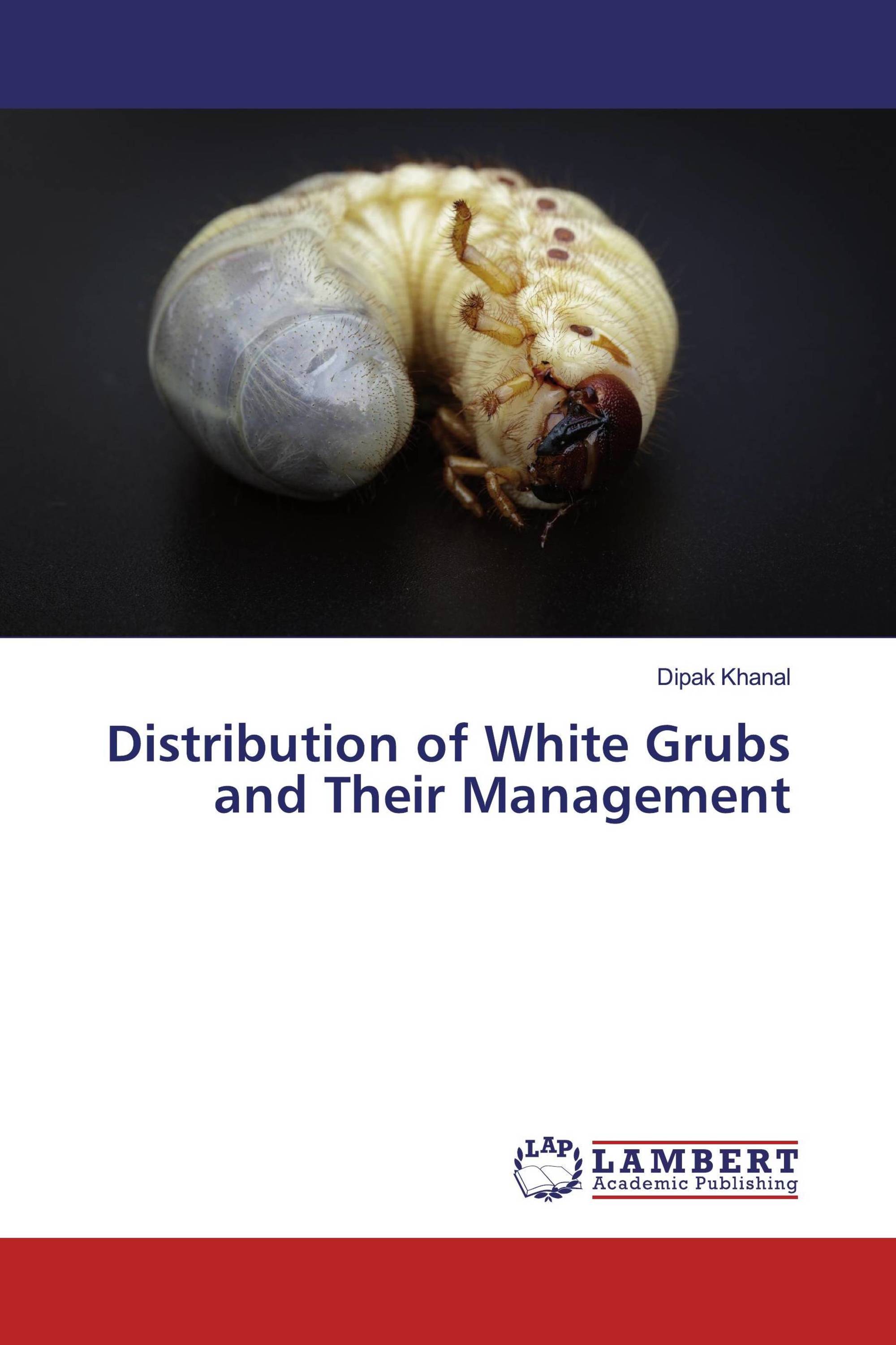 Distribution of White Grubs and Their Management