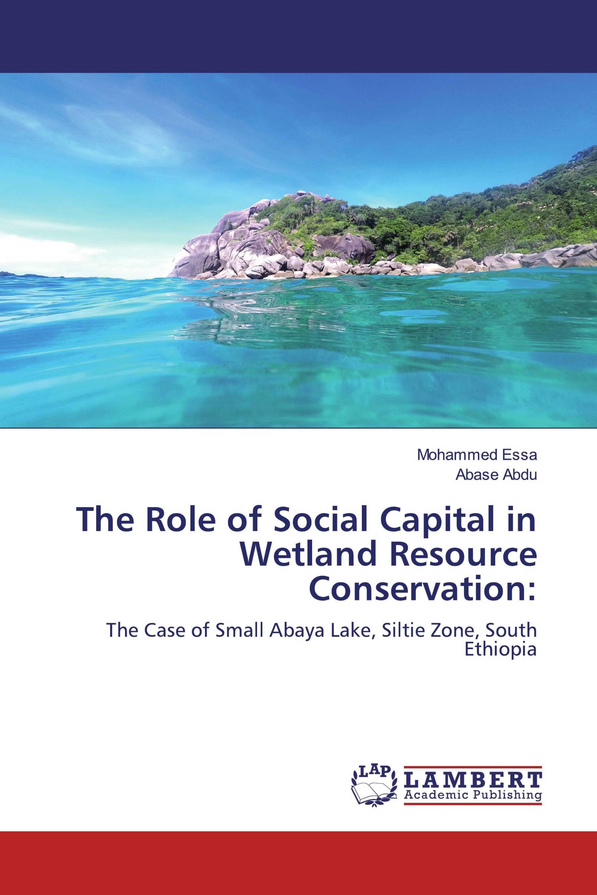 The Role of Social Capital in Wetland Resource Conservation: