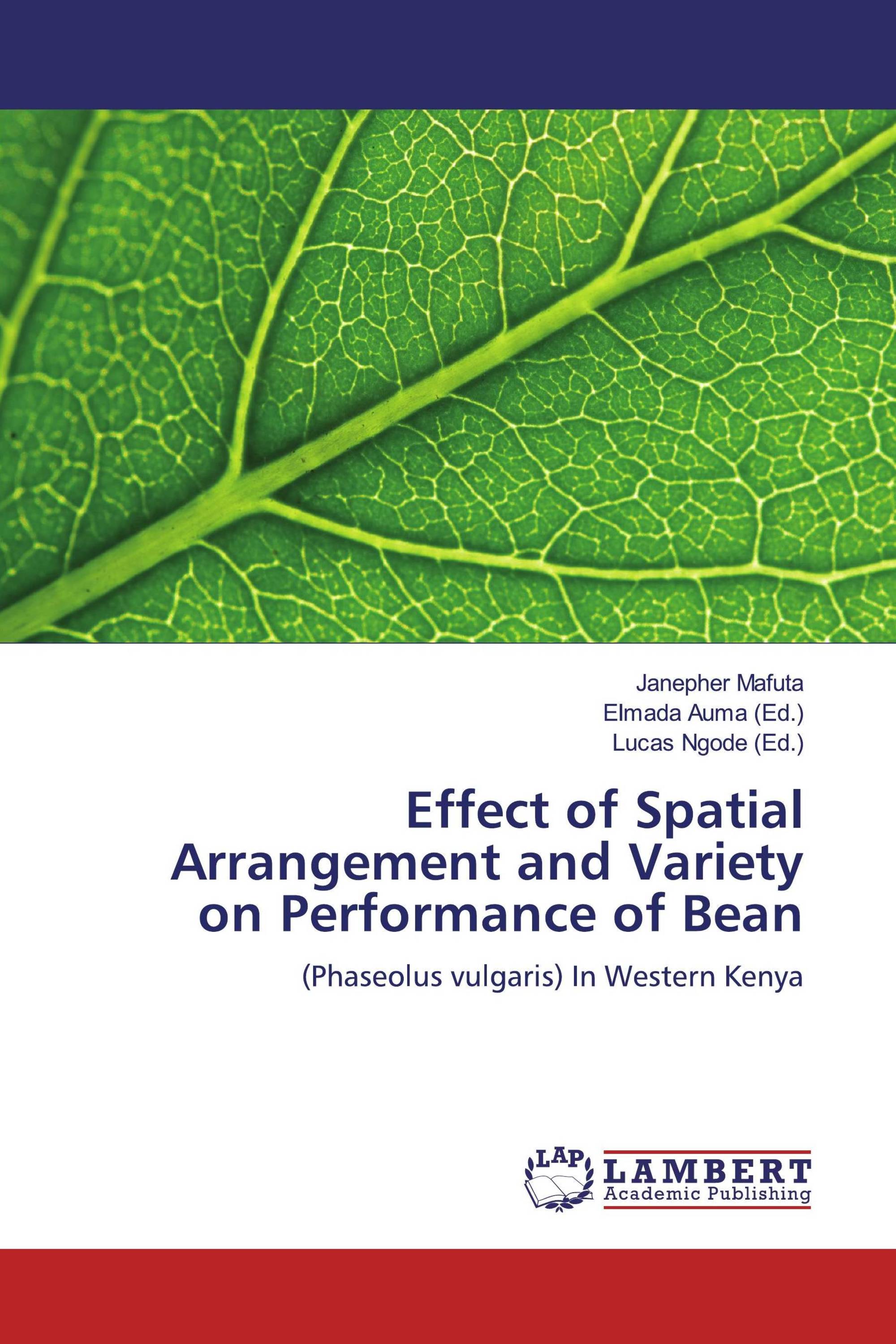 Effect of Spatial Arrangement and Variety on Performance of Bean