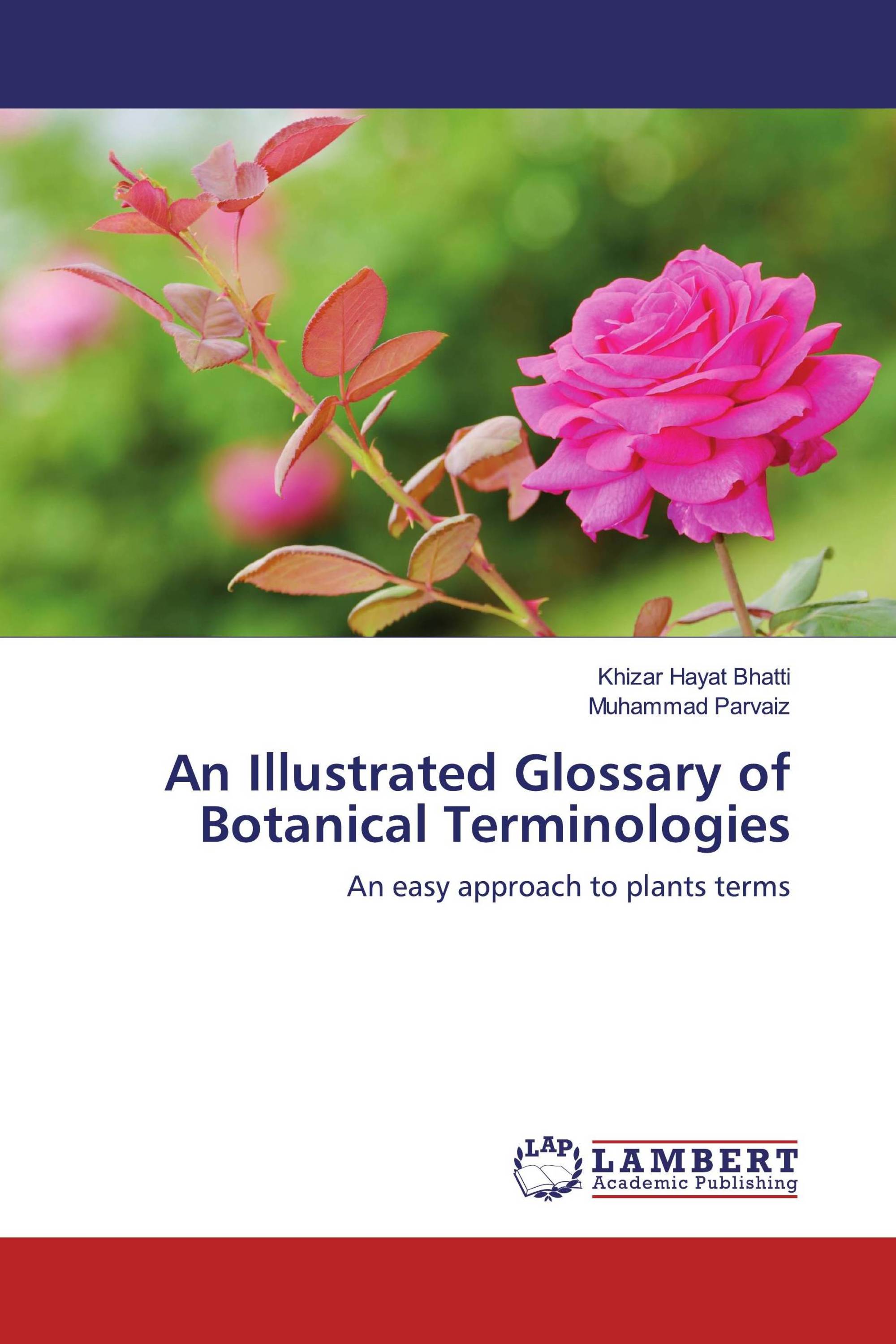 An Illustrated Glossary of Botanical Terminologies