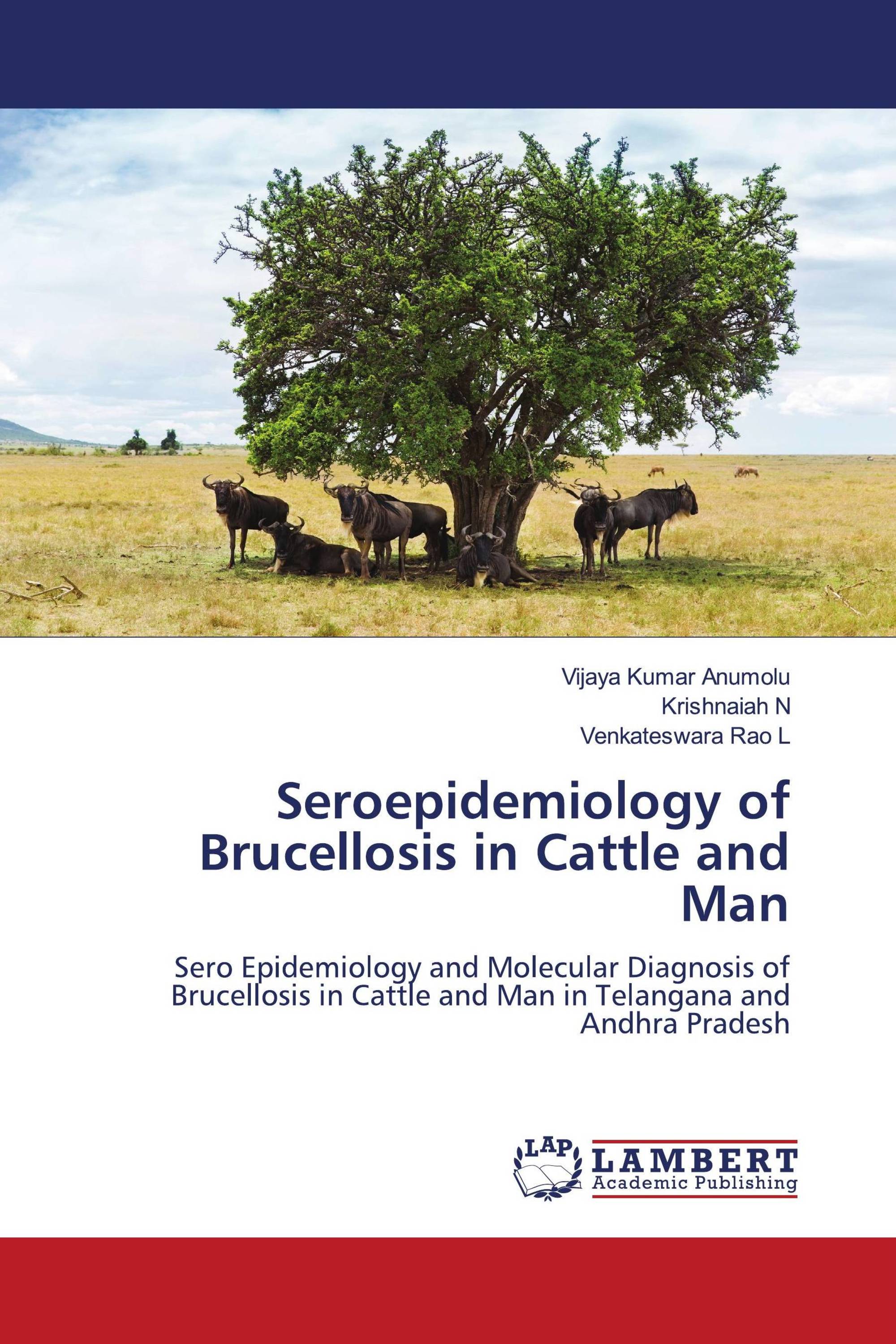 Seroepidemiology of Brucellosis in Cattle and Man