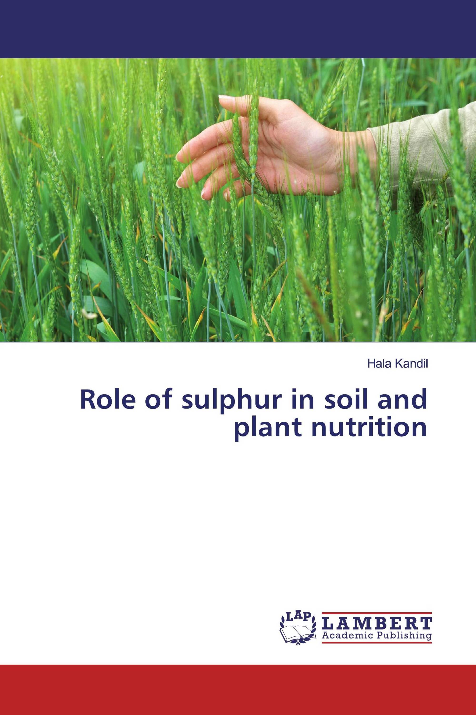 Role of sulphur in soil and plant nutrition