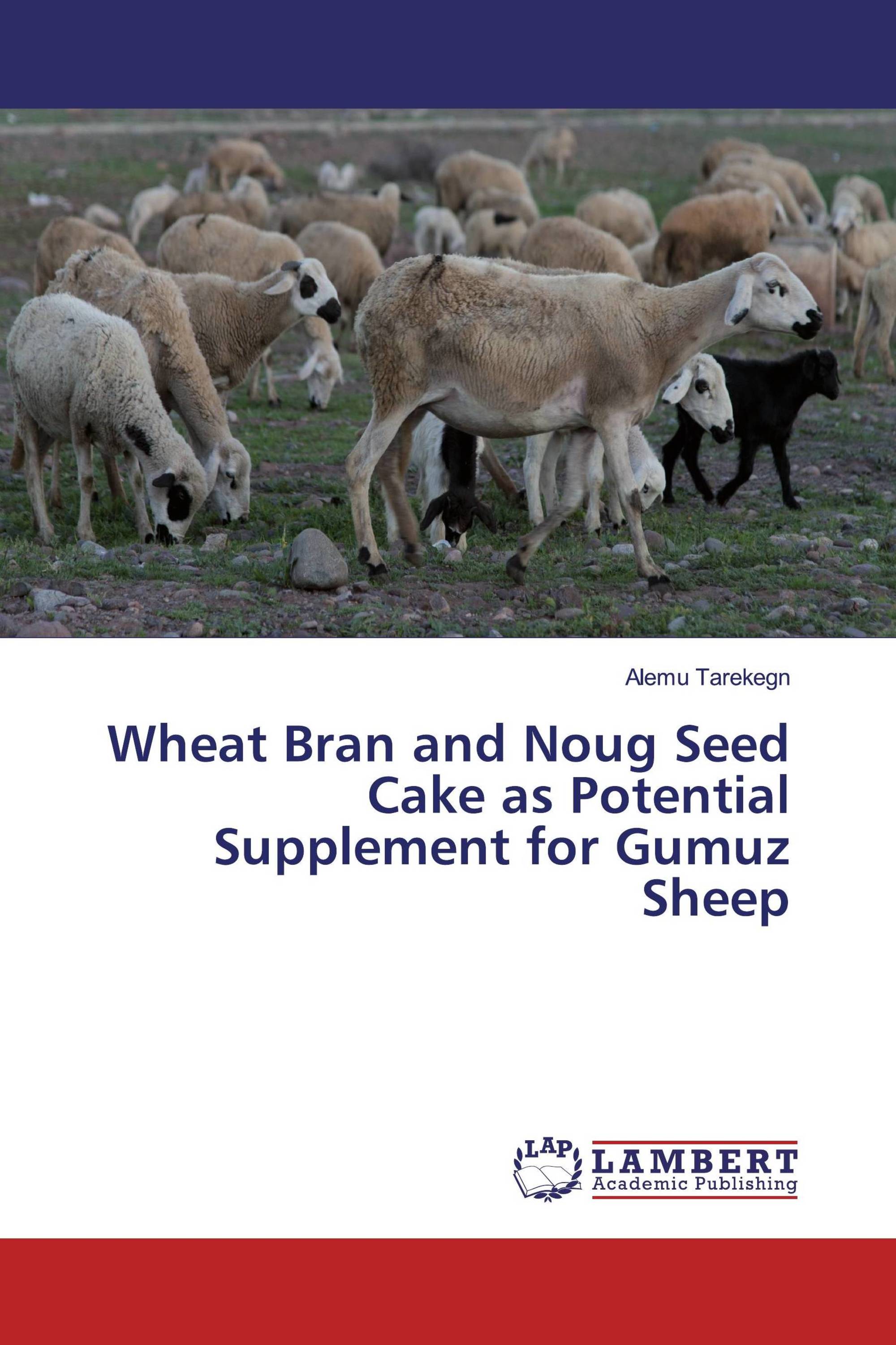 Wheat Bran and Noug Seed Cake as Potential Supplement for Gumuz Sheep