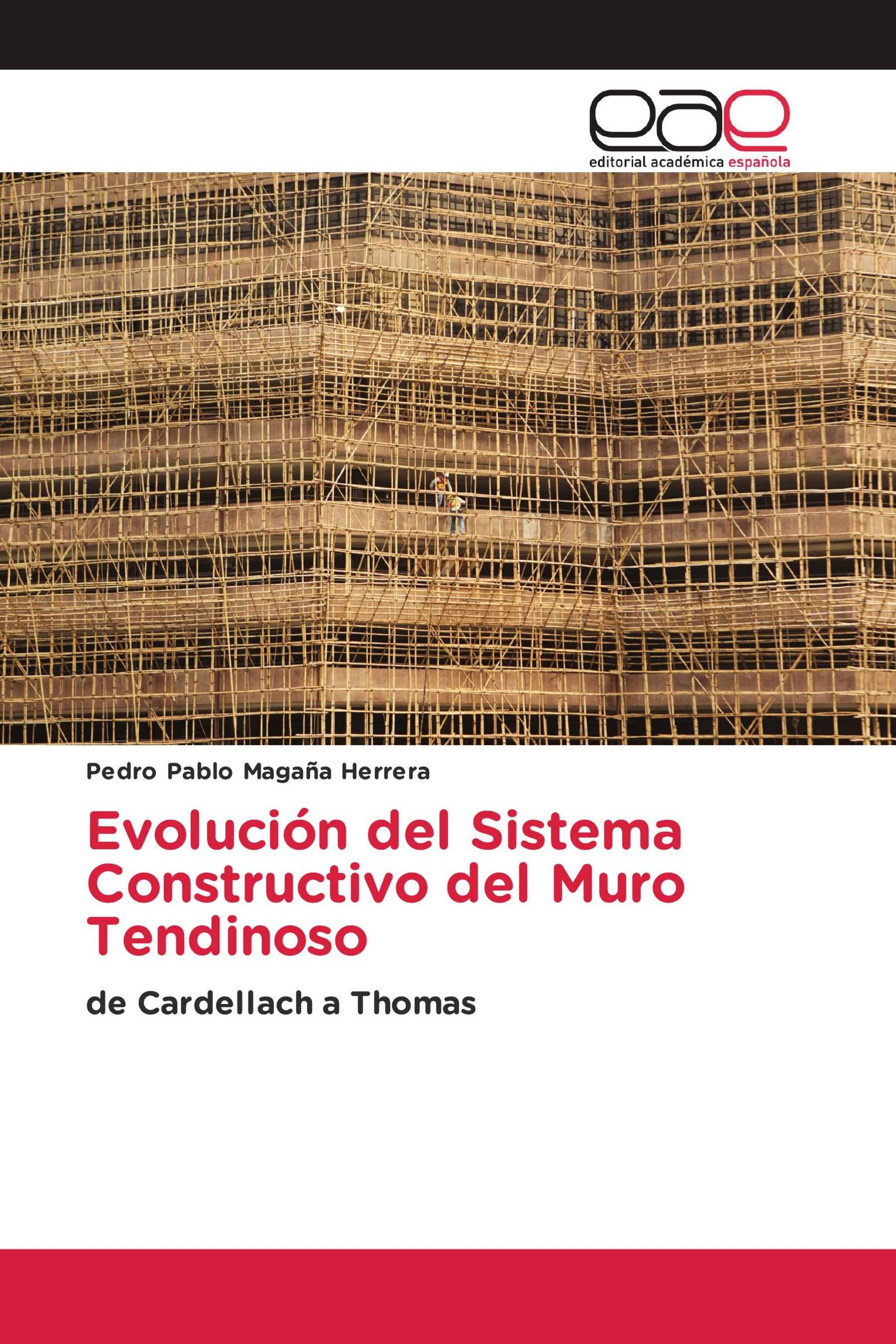 Evolución del Sistema Constructivo del Muro Tendinoso