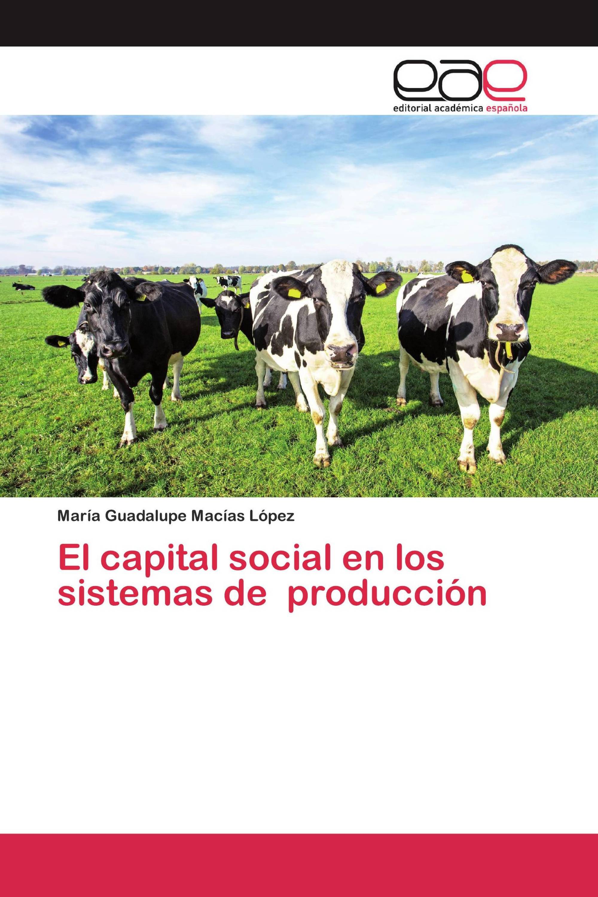 El capital social en los sistemas de producción