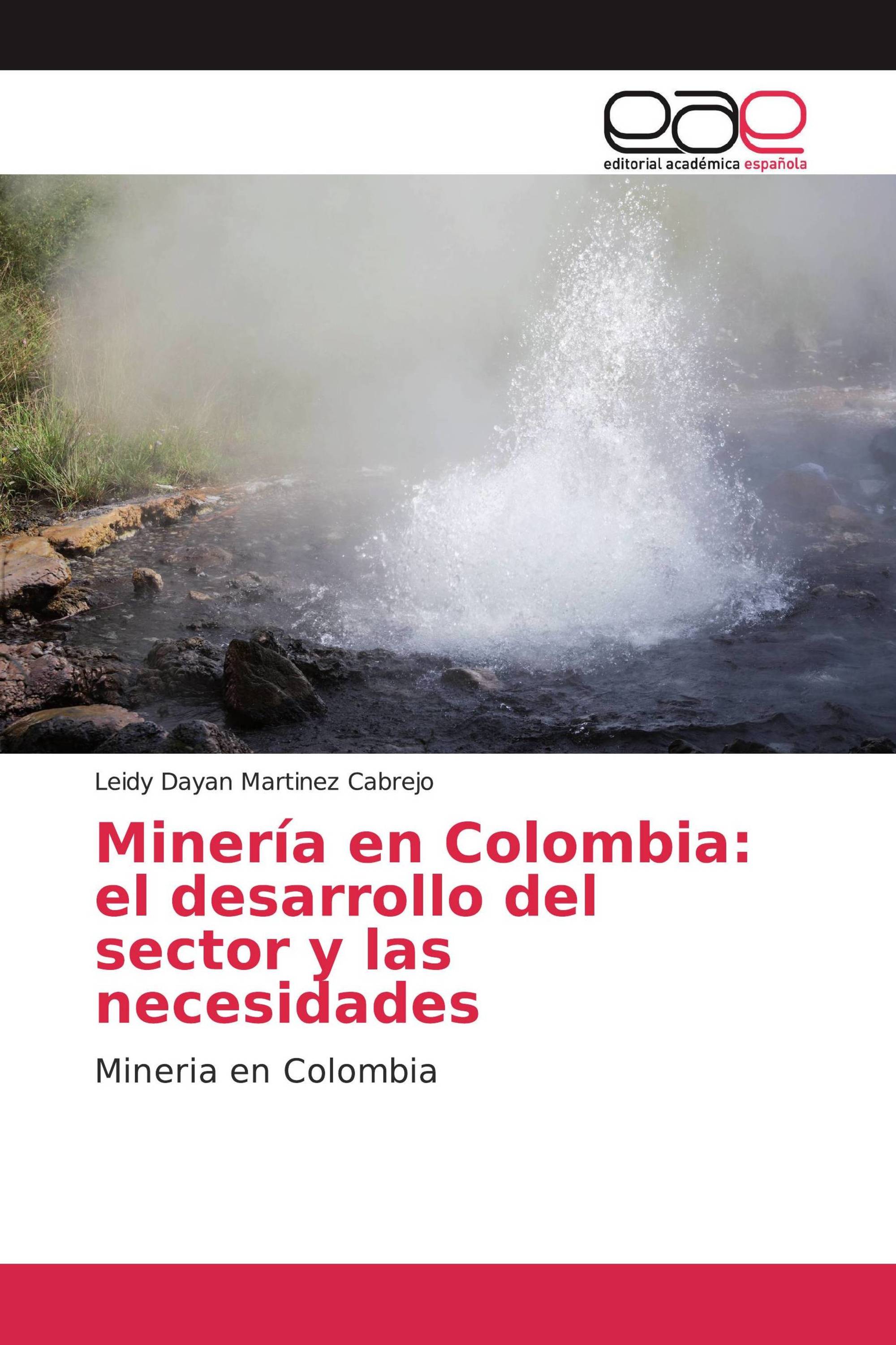 Minería en Colombia: el desarrollo del sector y las necesidades