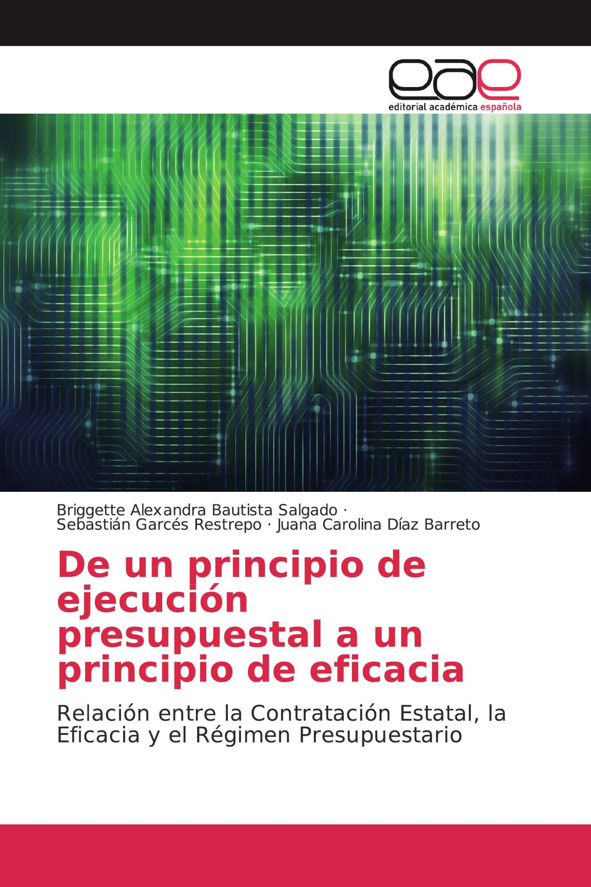 De un principio de ejecución presupuestal a un principio de eficacia