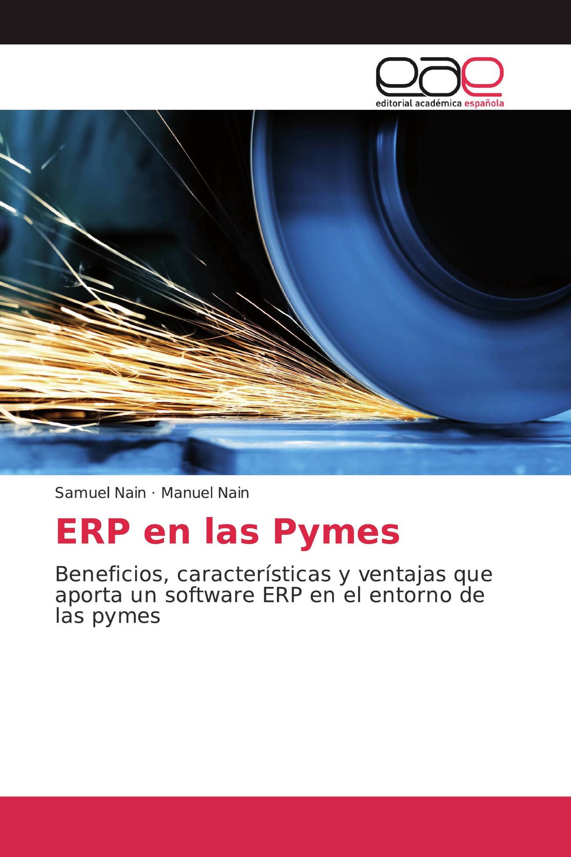 ERP en las Pymes