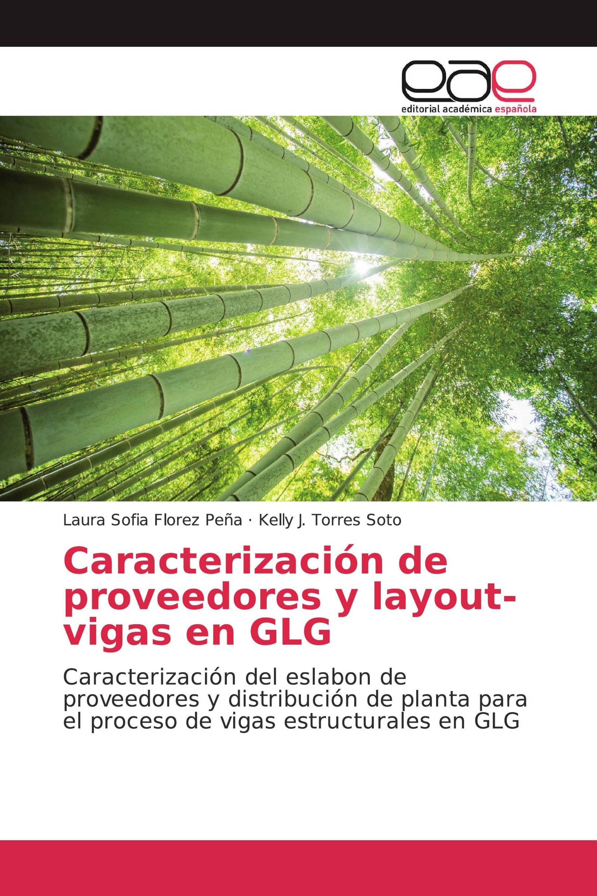 Caracterización de proveedores y layout-vigas en GLG