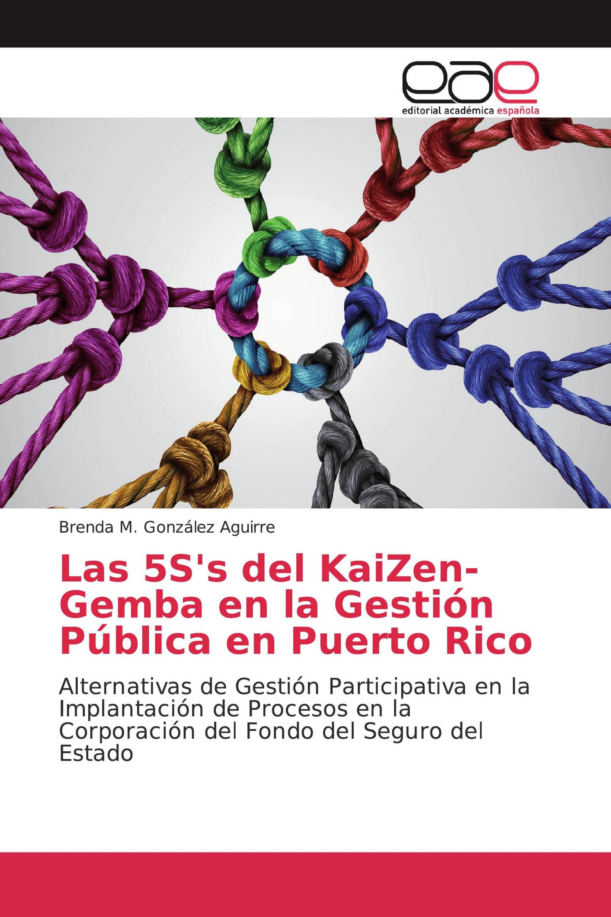 Las 5S's del KaiZen-Gemba en la Gestión Pública en Puerto Rico