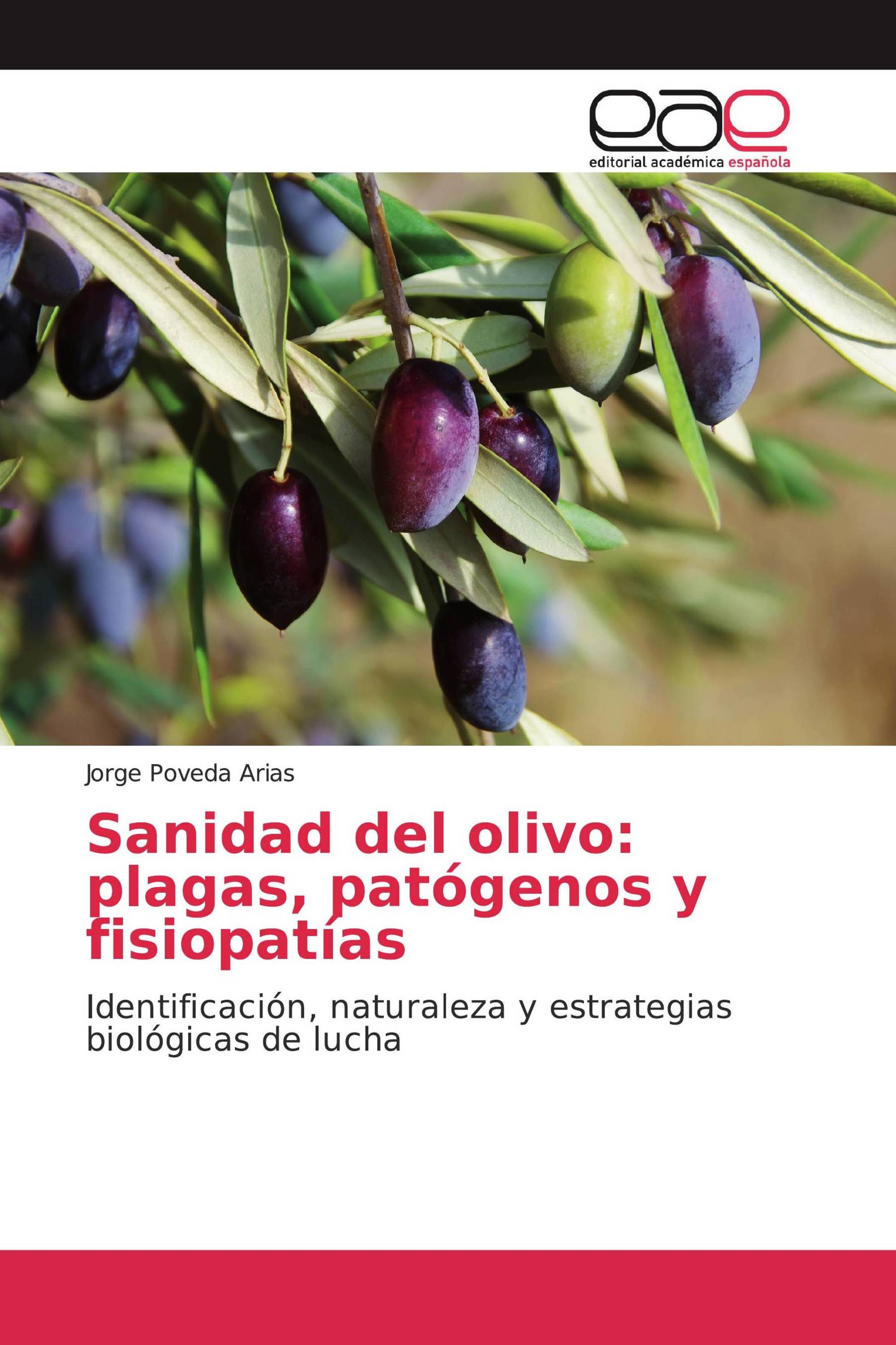 Sanidad del olivo: plagas, patógenos y fisiopatías