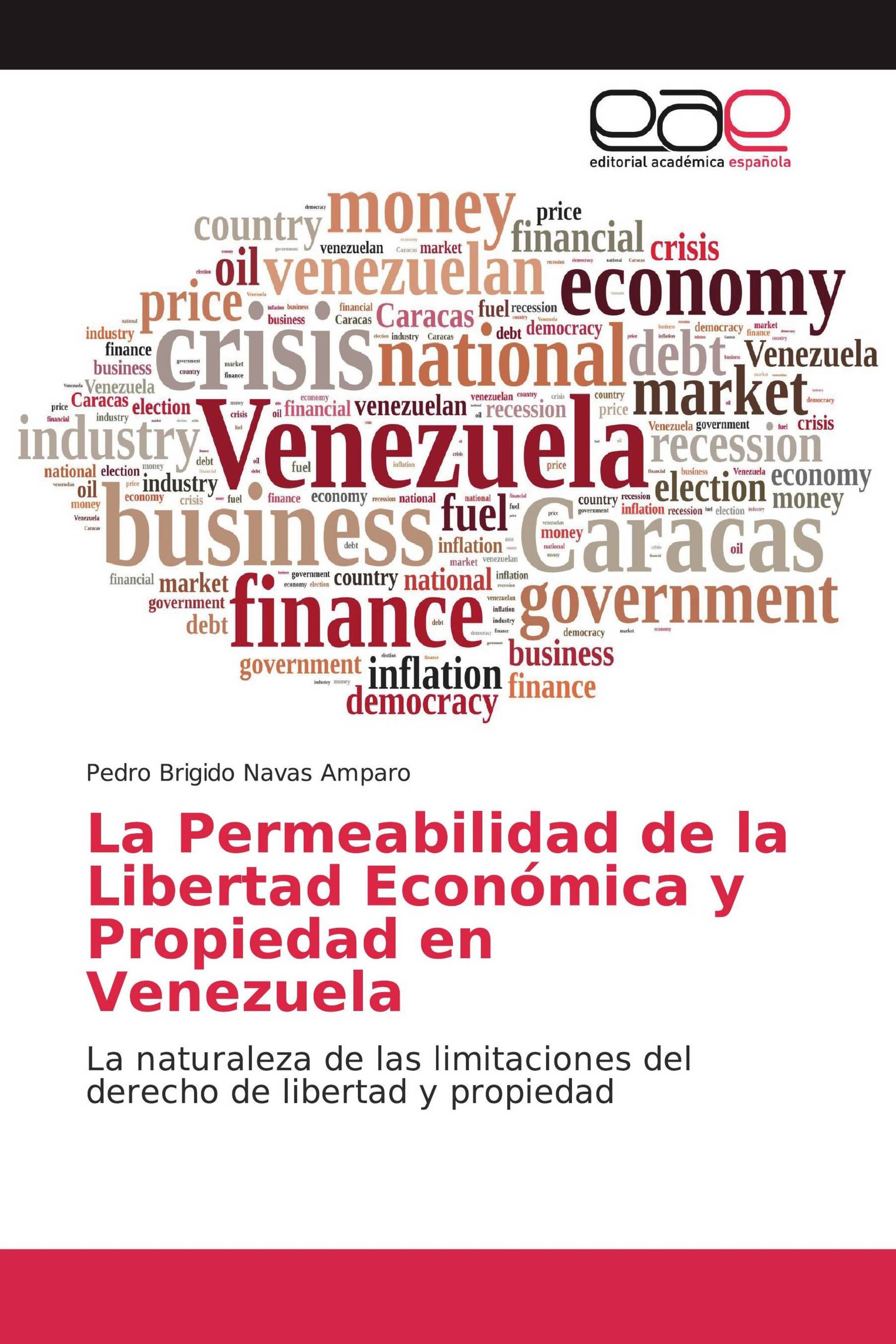 La Permeabilidad de la Libertad Económica y Propiedad en Venezuela