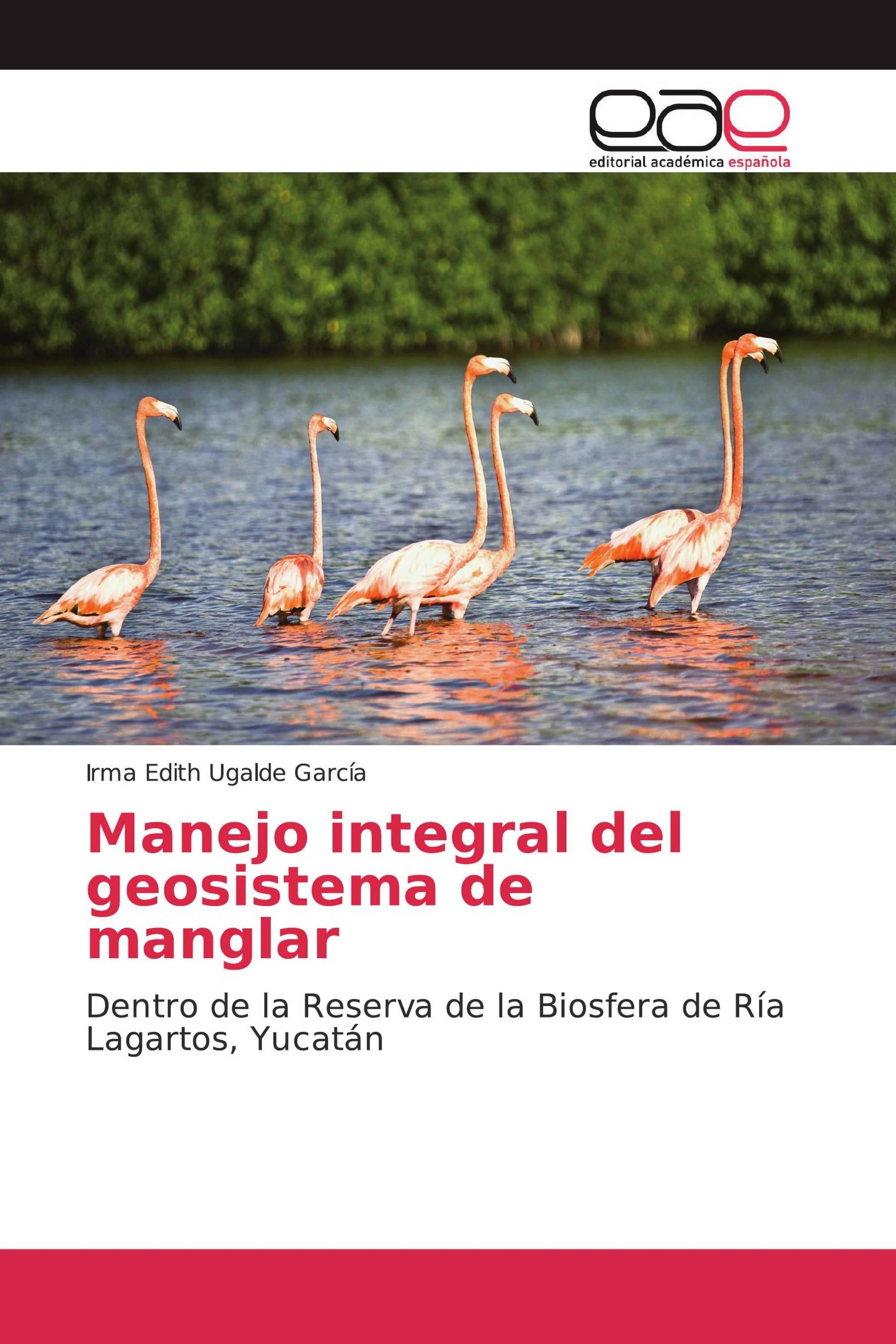 Manejo integral del geosistema de manglar