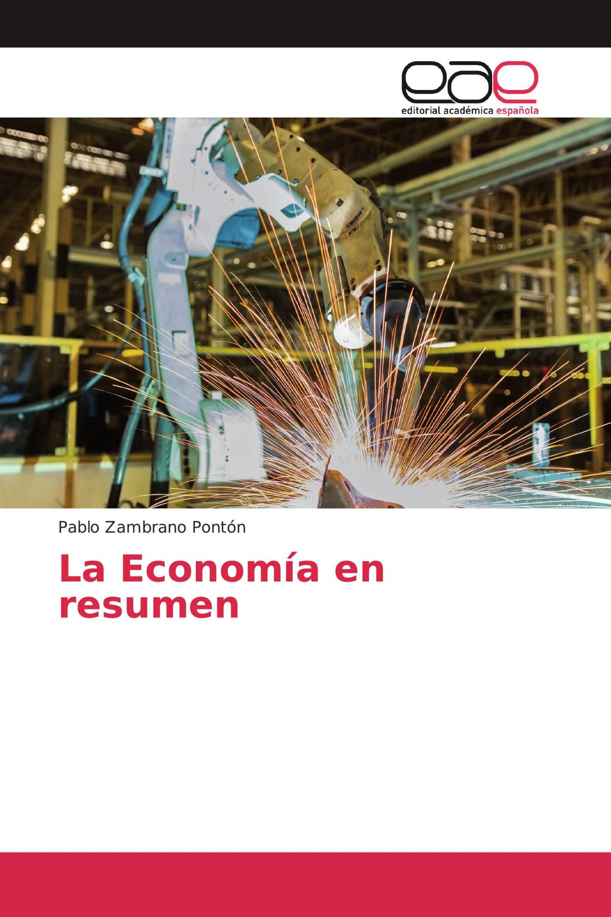 La Economía en resumen