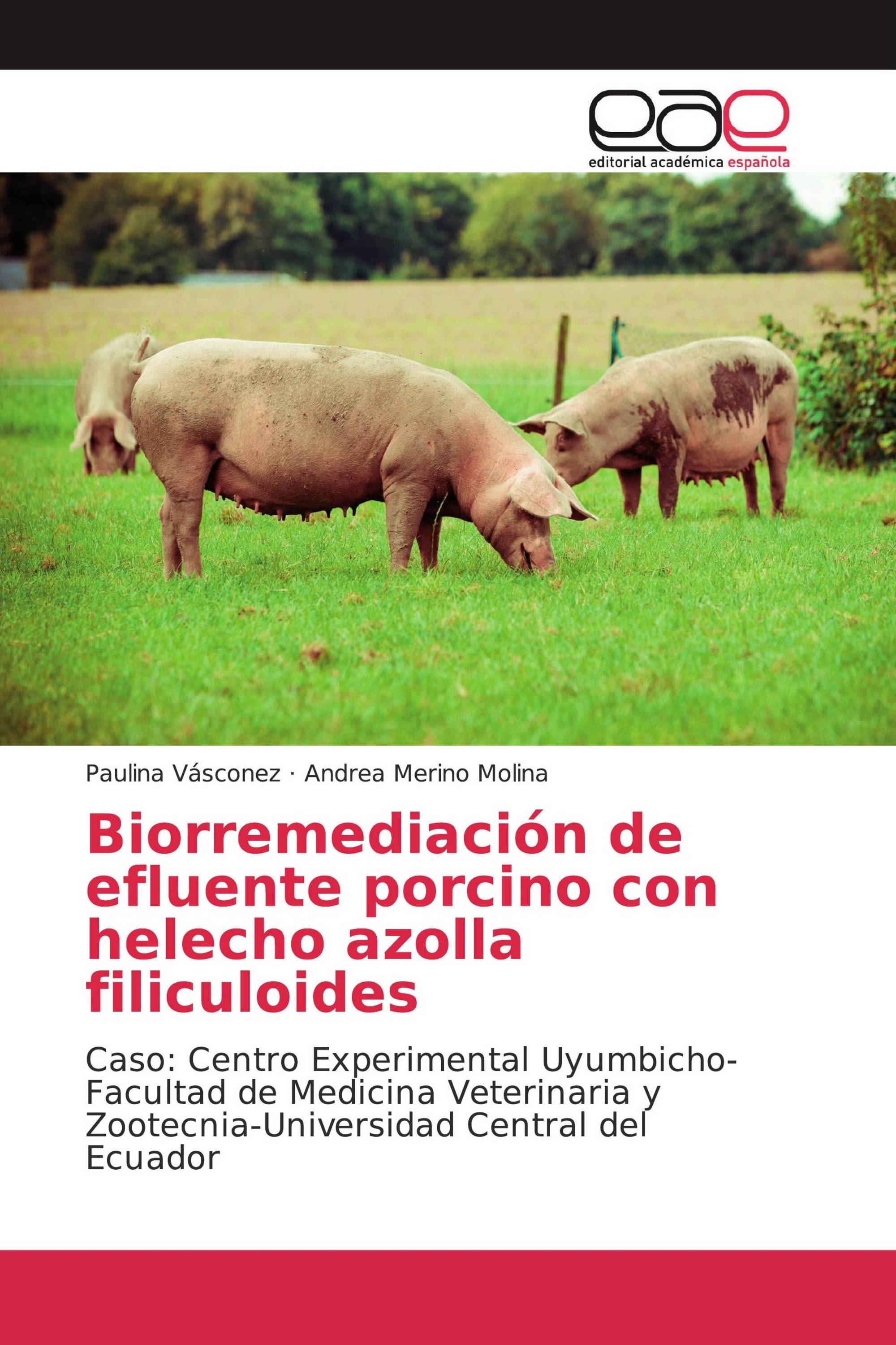 Biorremediación de efluente porcino con helecho azolla filiculoides