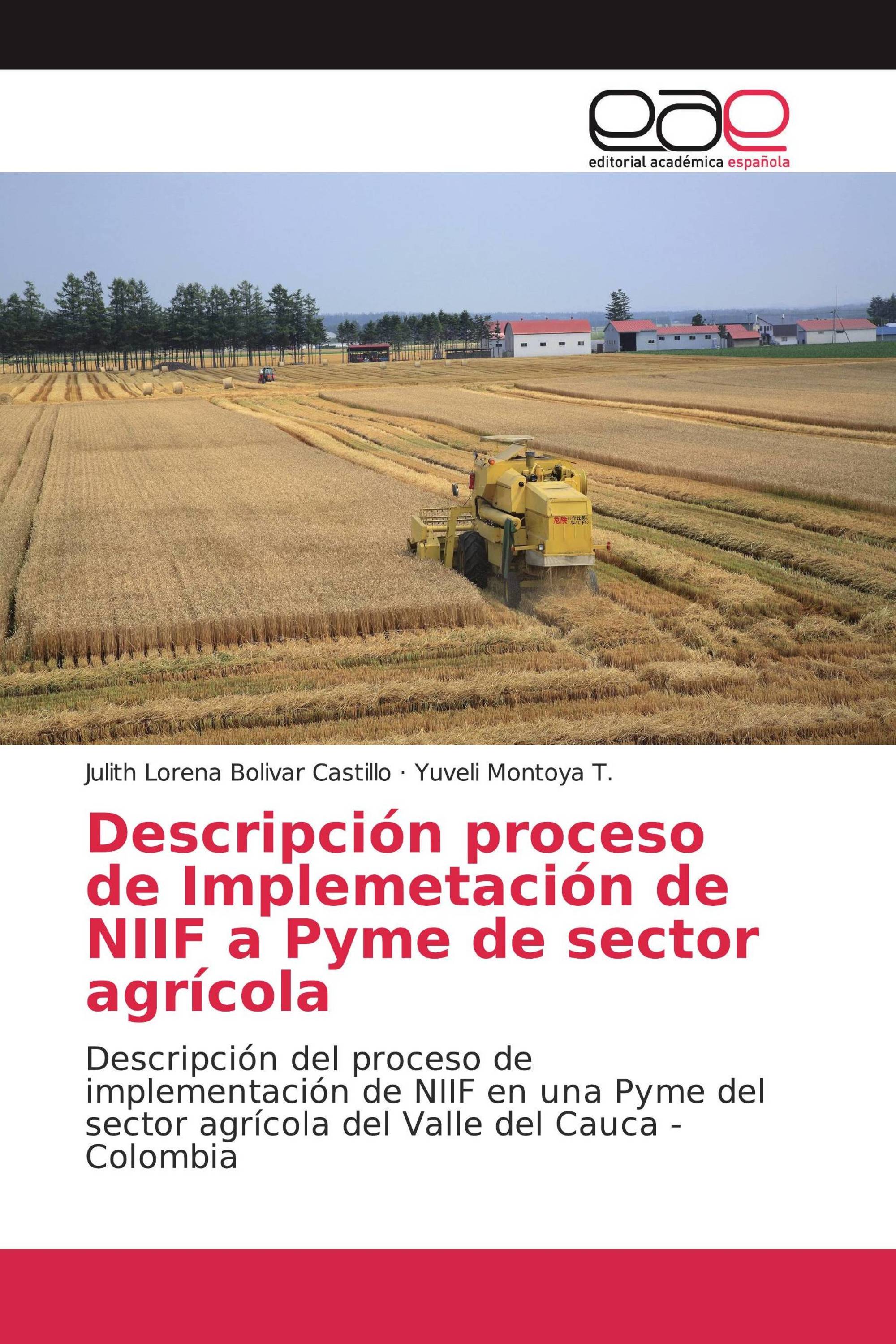 Descripción proceso de Implemetación de NIIF a Pyme de sector agrícola