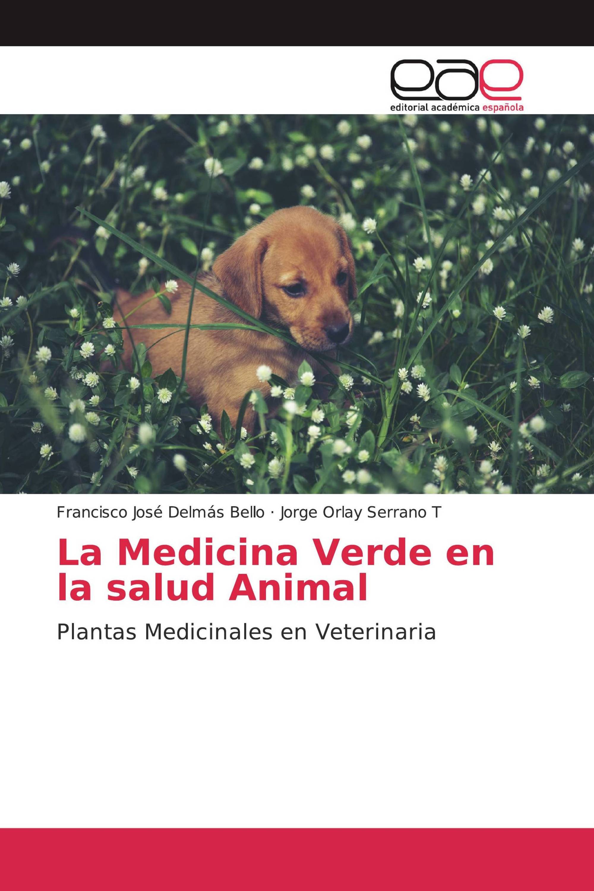 La Medicina Verde en la salud Animal