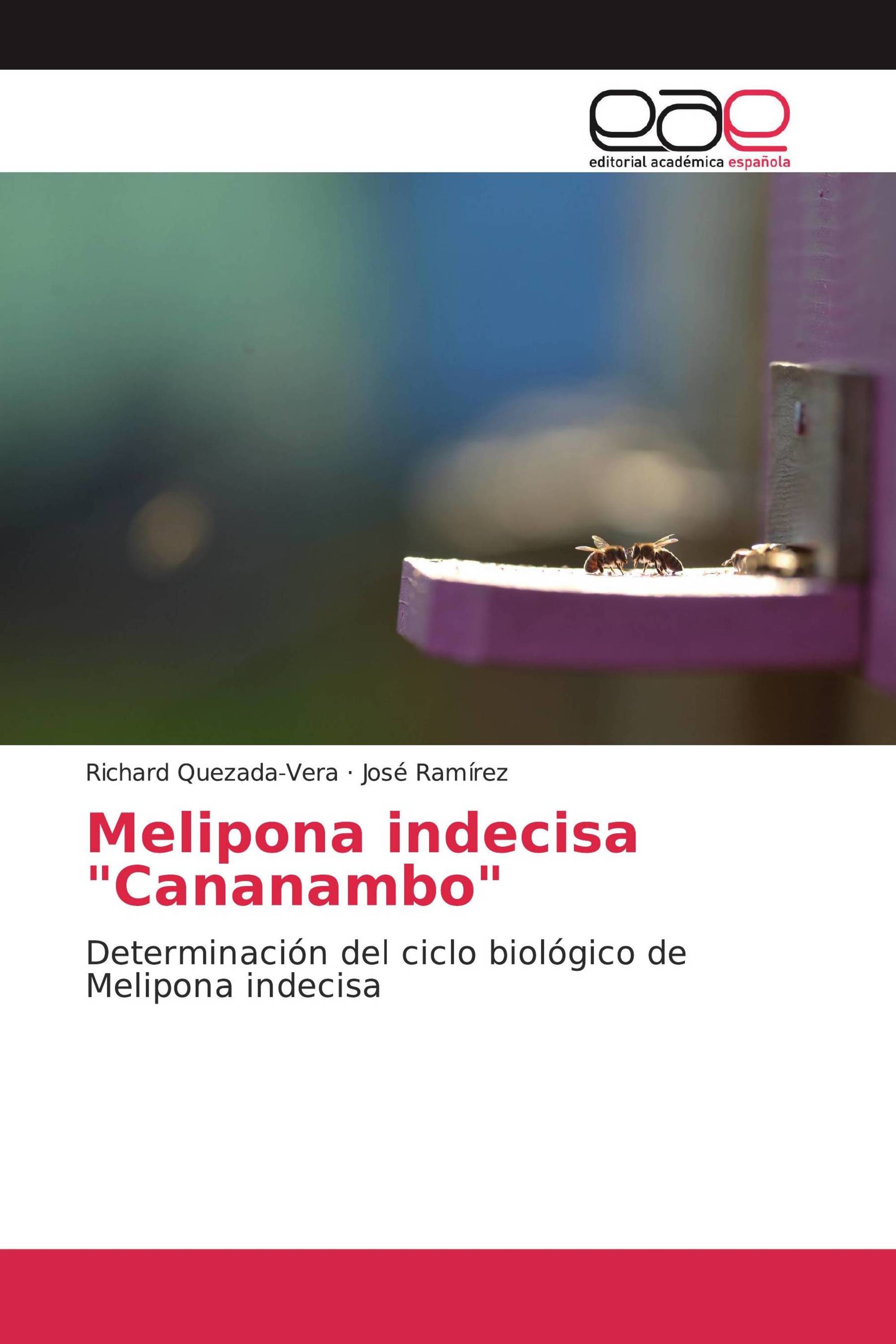 Melipona indecisa "Cananambo"