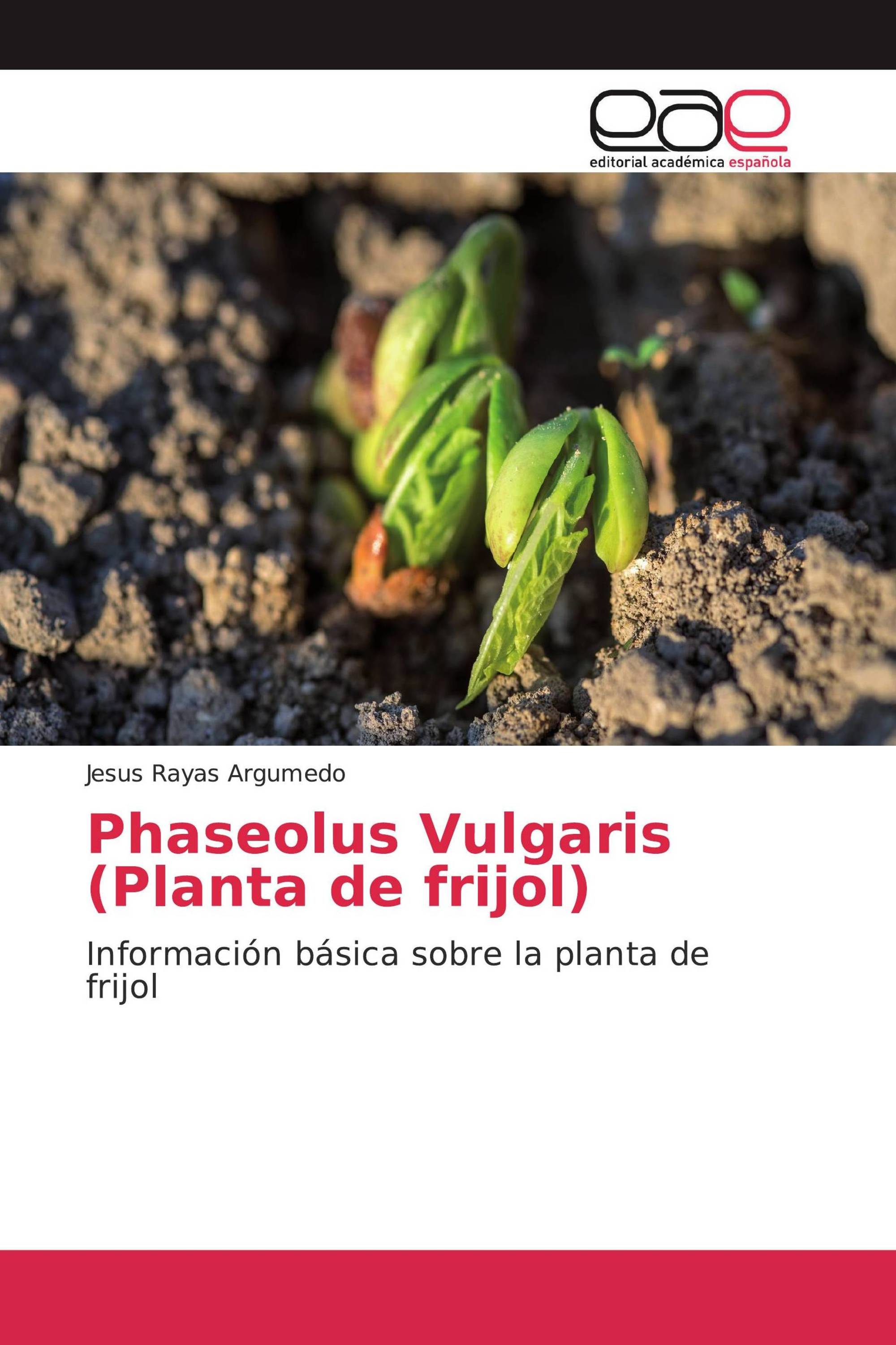 Phaseolus Vulgaris (Planta de frijol)