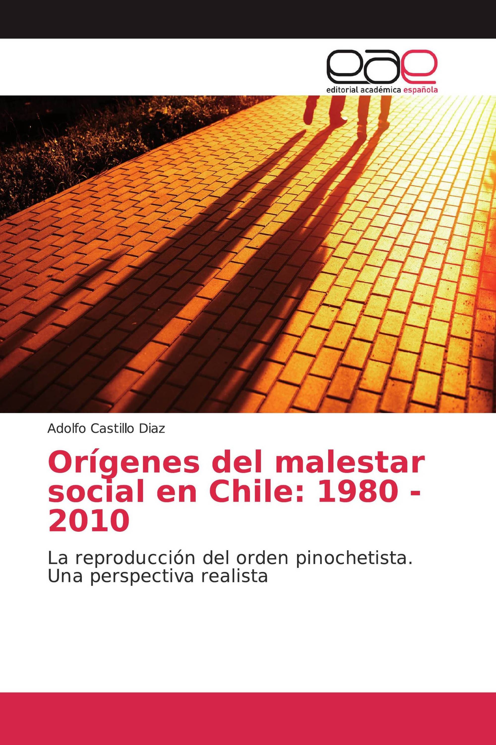 Orígenes del malestar social en Chile: 1980 - 2010