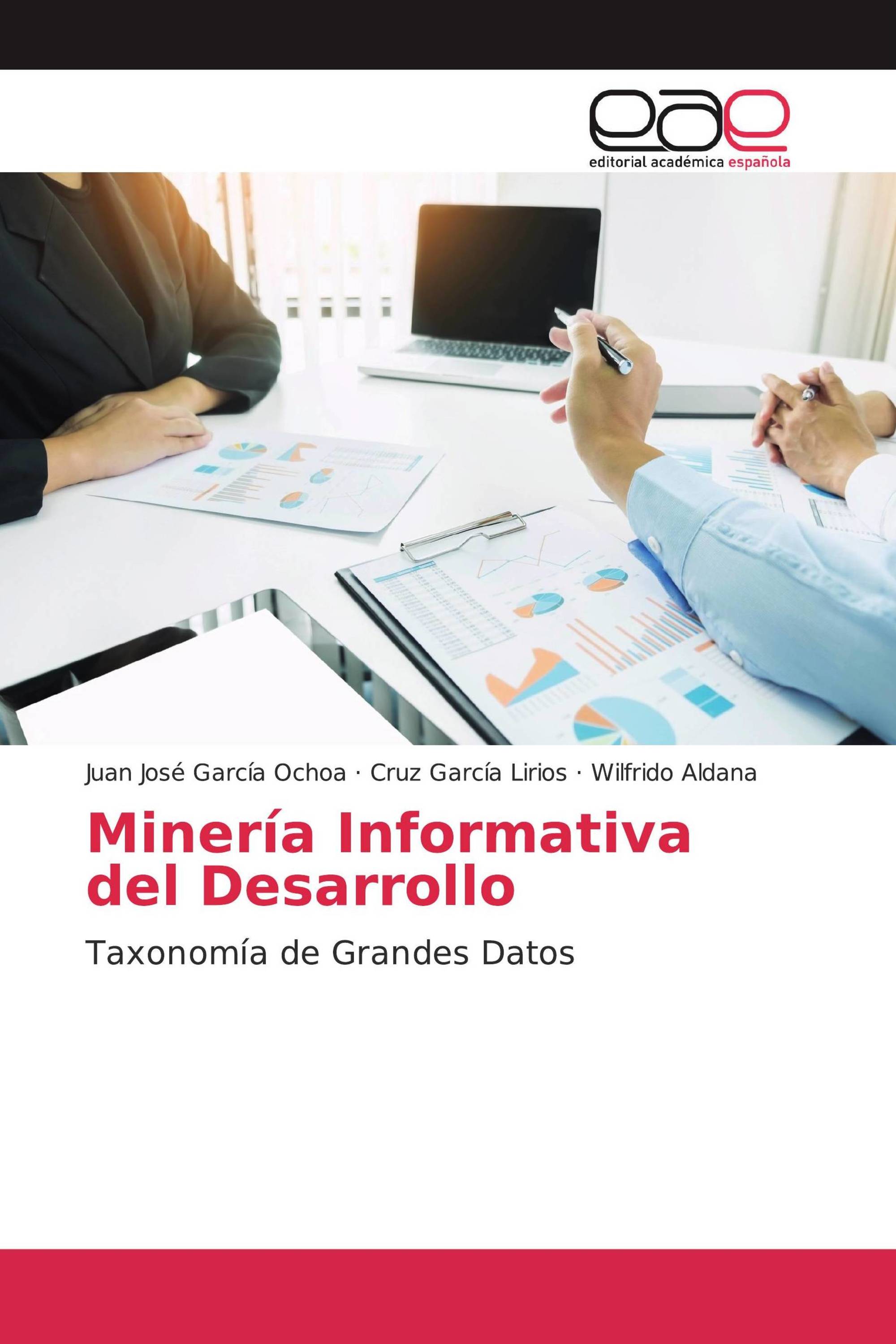 Minería Informativa del Desarrollo