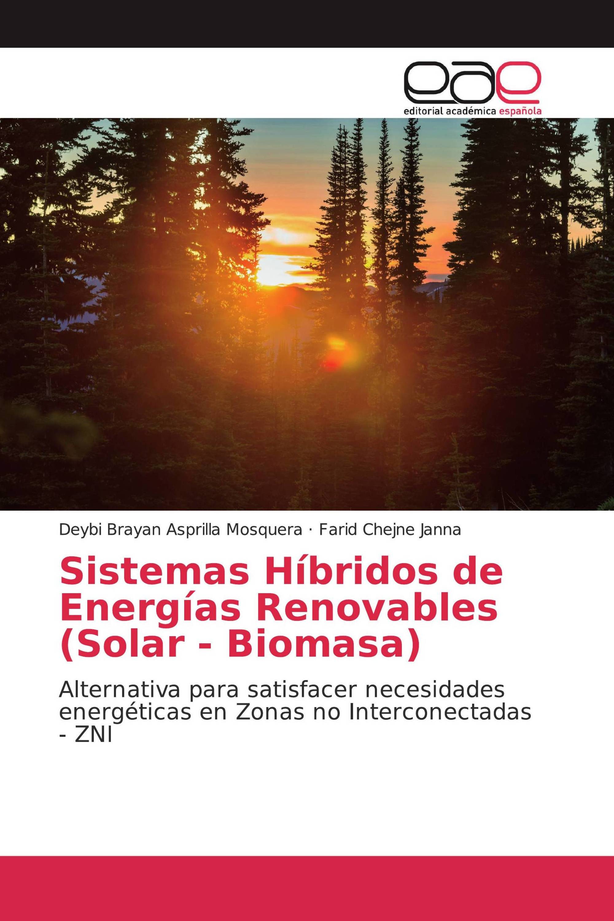 Sistemas Híbridos de Energías Renovables (Solar - Biomasa)