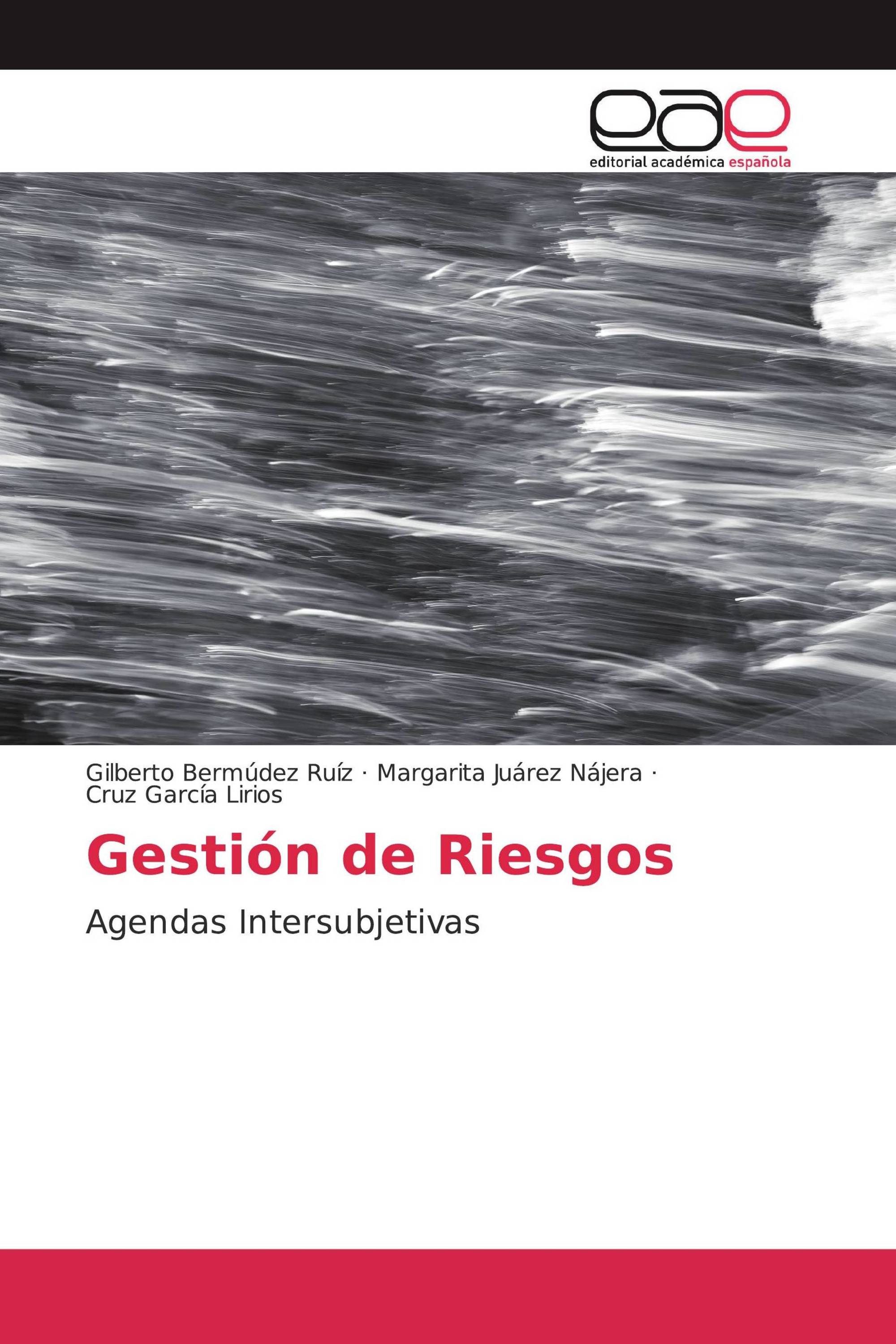 Gestión de Riesgos