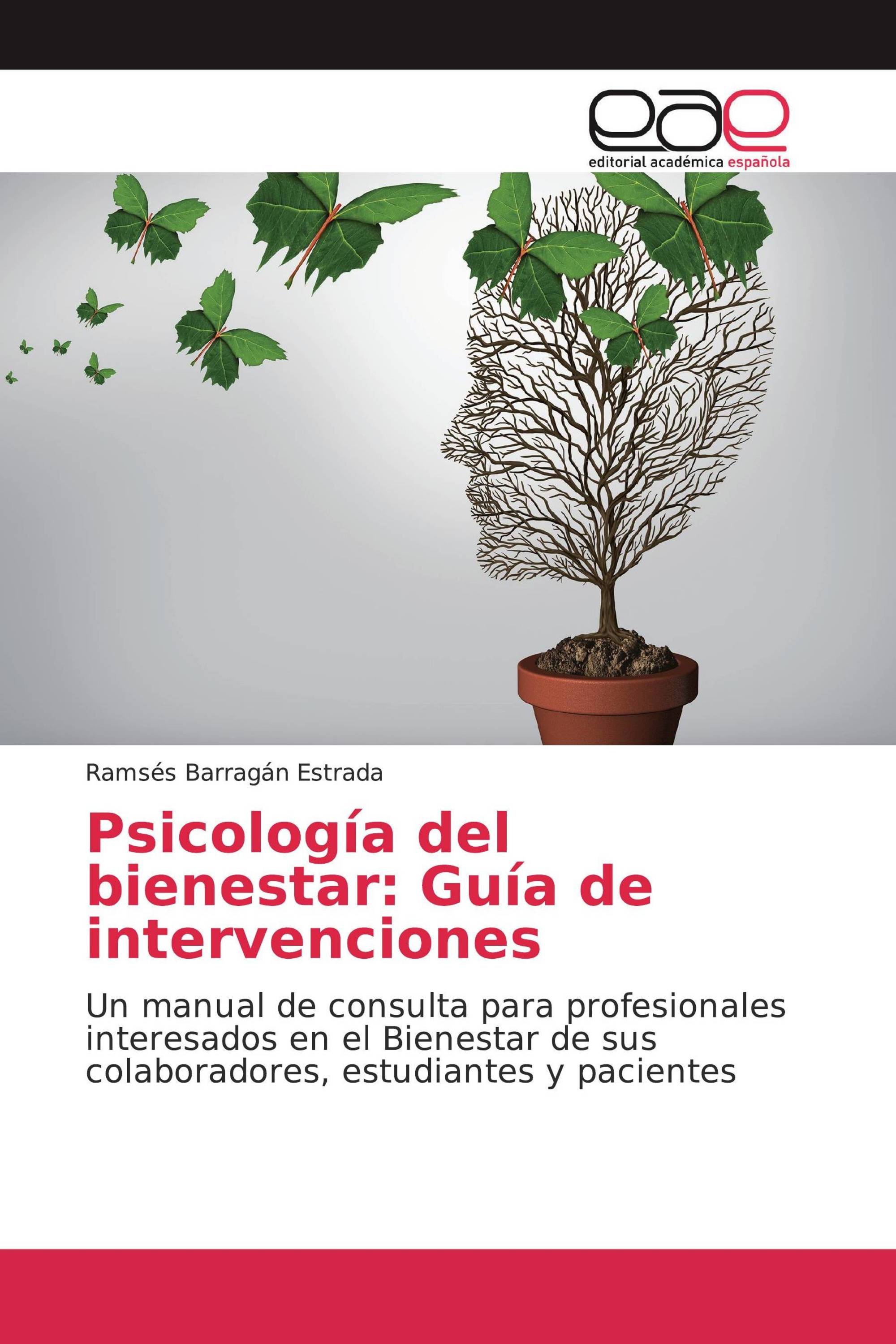 Psicología del bienestar: Guía de intervenciones