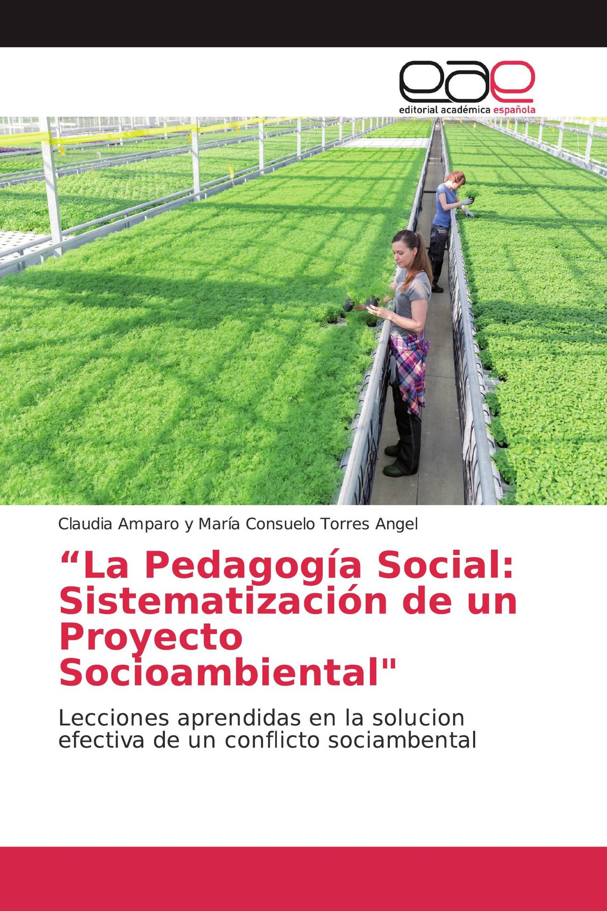 “La Pedagogía Social: Sistematización de un Proyecto Socioambiental"