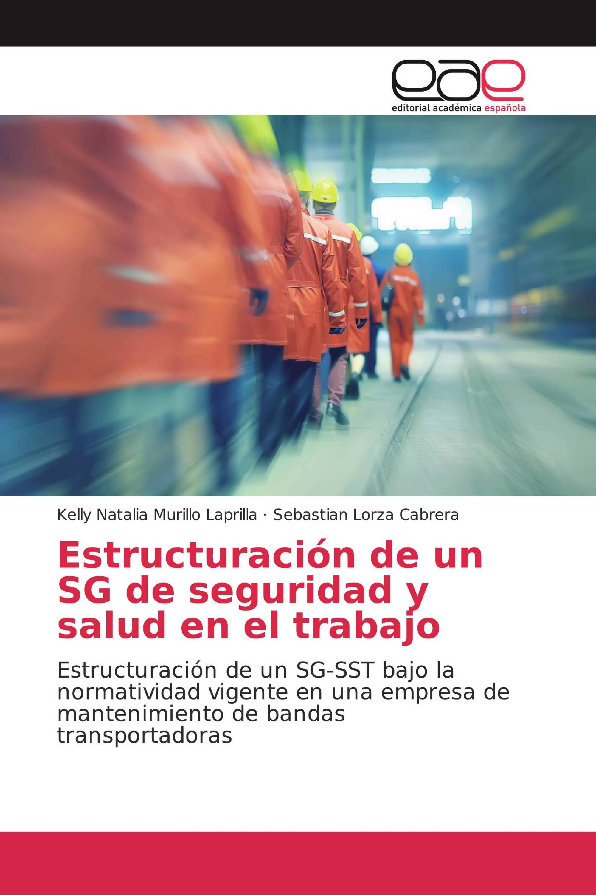 Estructuración de un SG de seguridad y salud en el trabajo