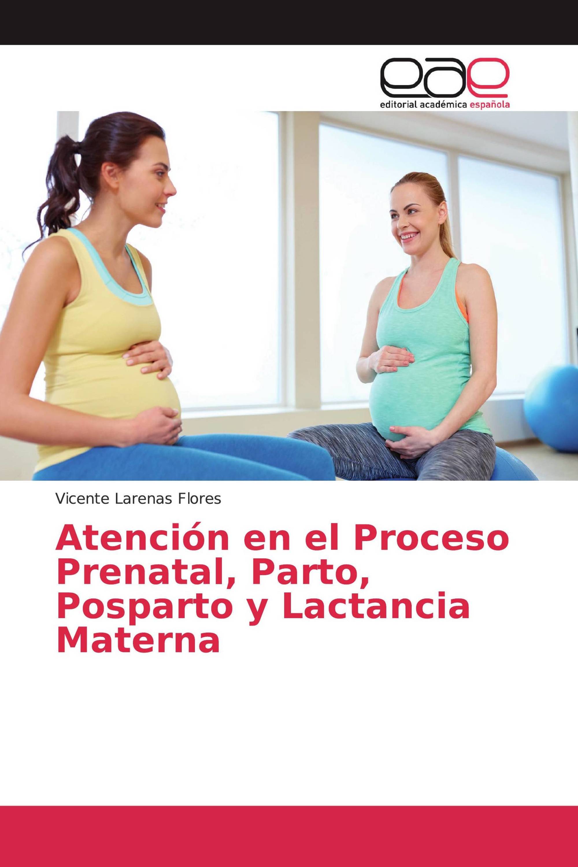 Atención en el Proceso Prenatal, Parto, Posparto y Lactancia Materna