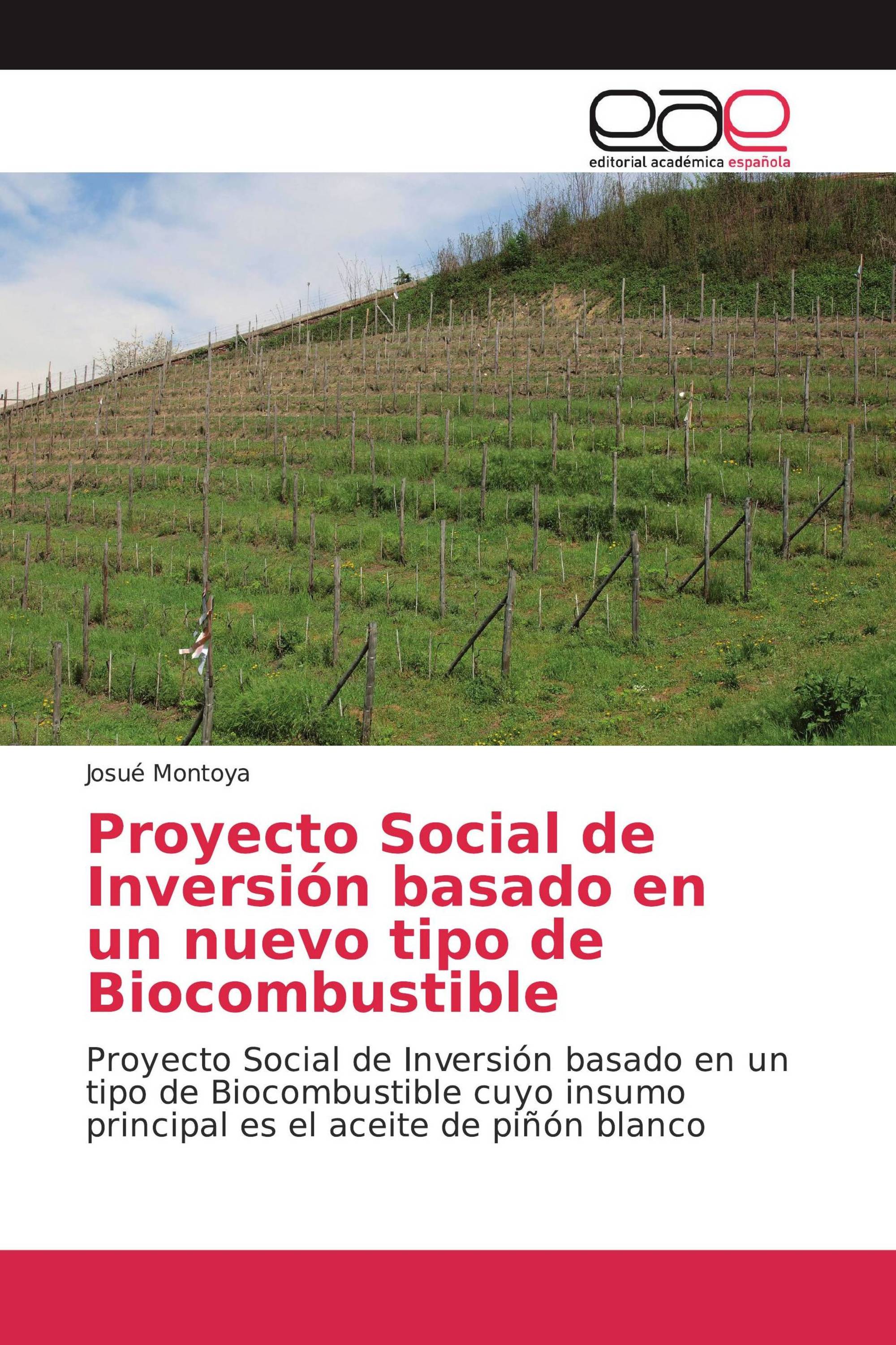 Proyecto Social de Inversión basado en un nuevo tipo de Biocombustible