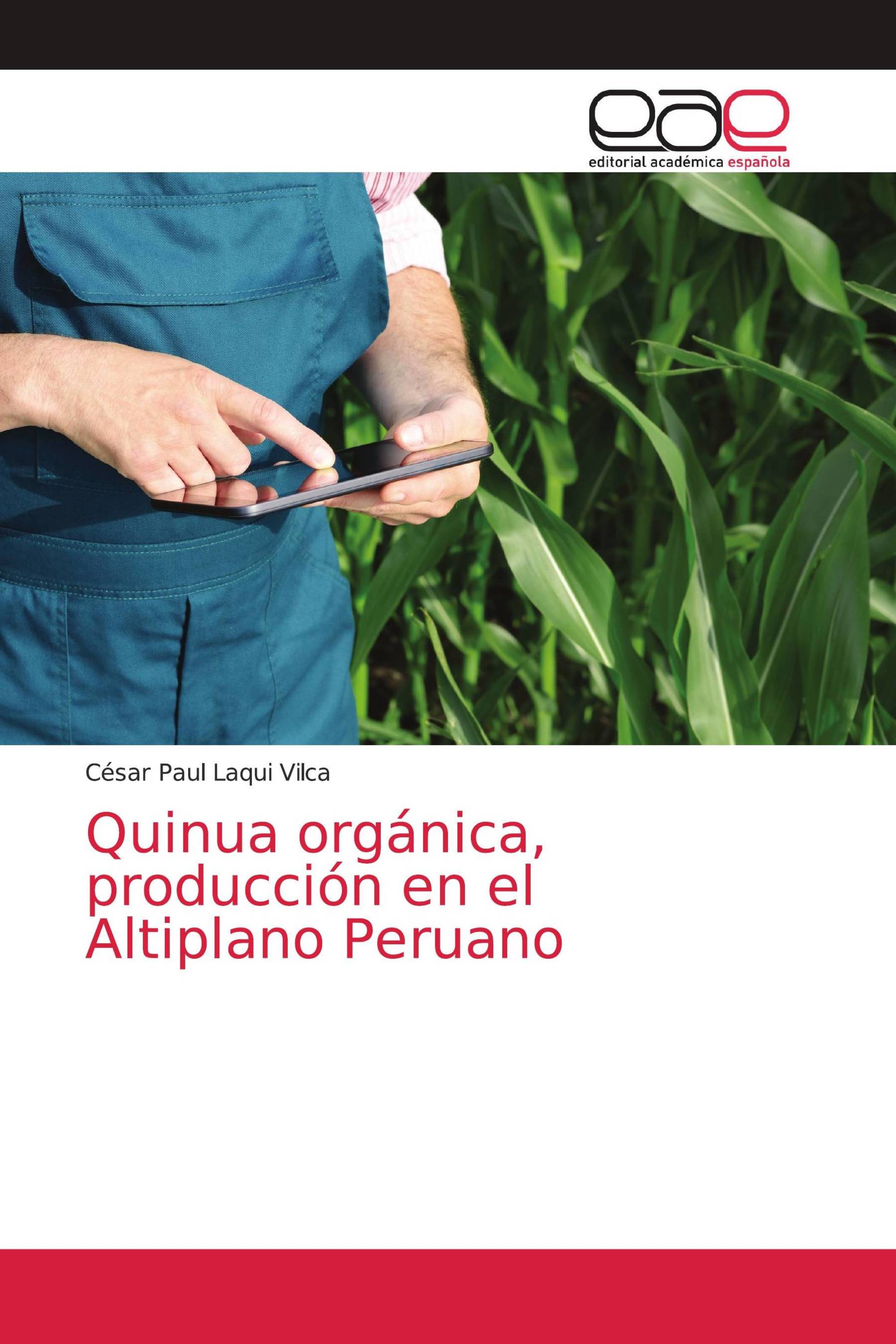 Quinua orgánica, producción en el Altiplano Peruano