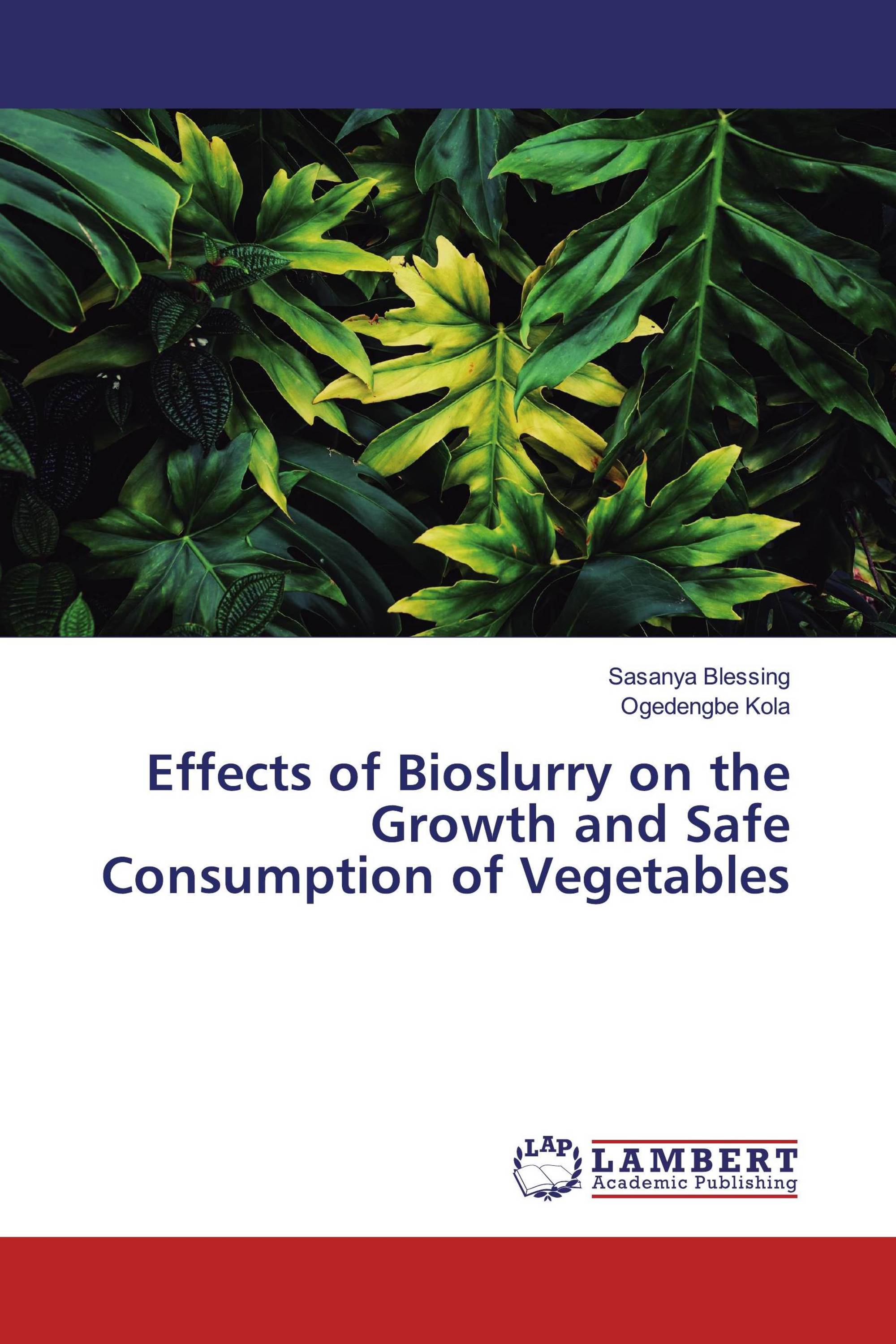 Effects of Bioslurry on the Growth and Safe Consumption of Vegetables