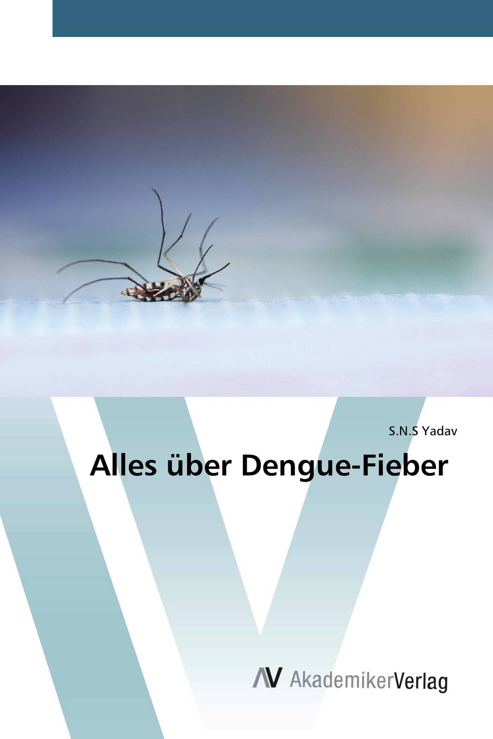 Alles über Dengue-Fieber