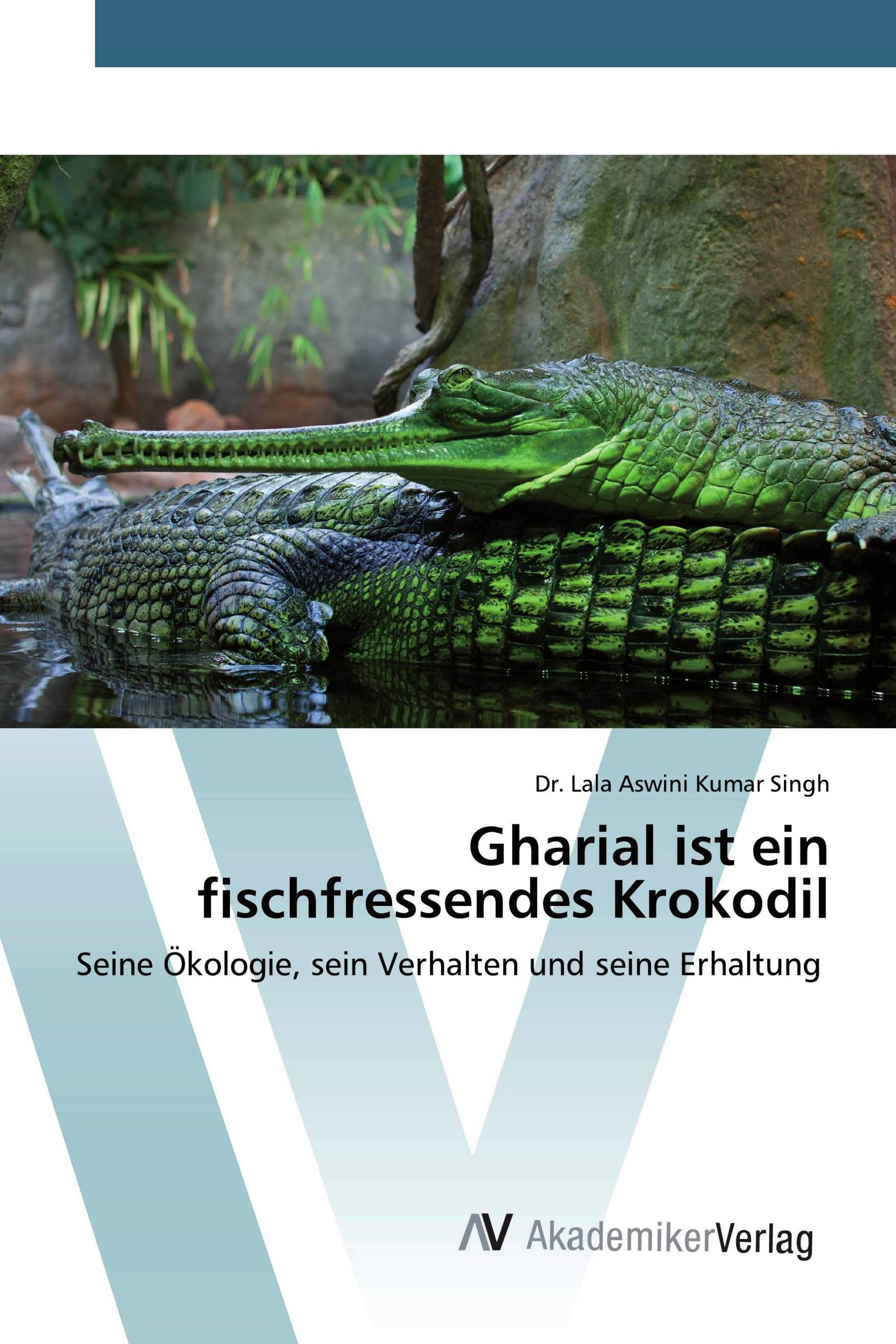 Gharial ist ein fischfressendes Krokodil