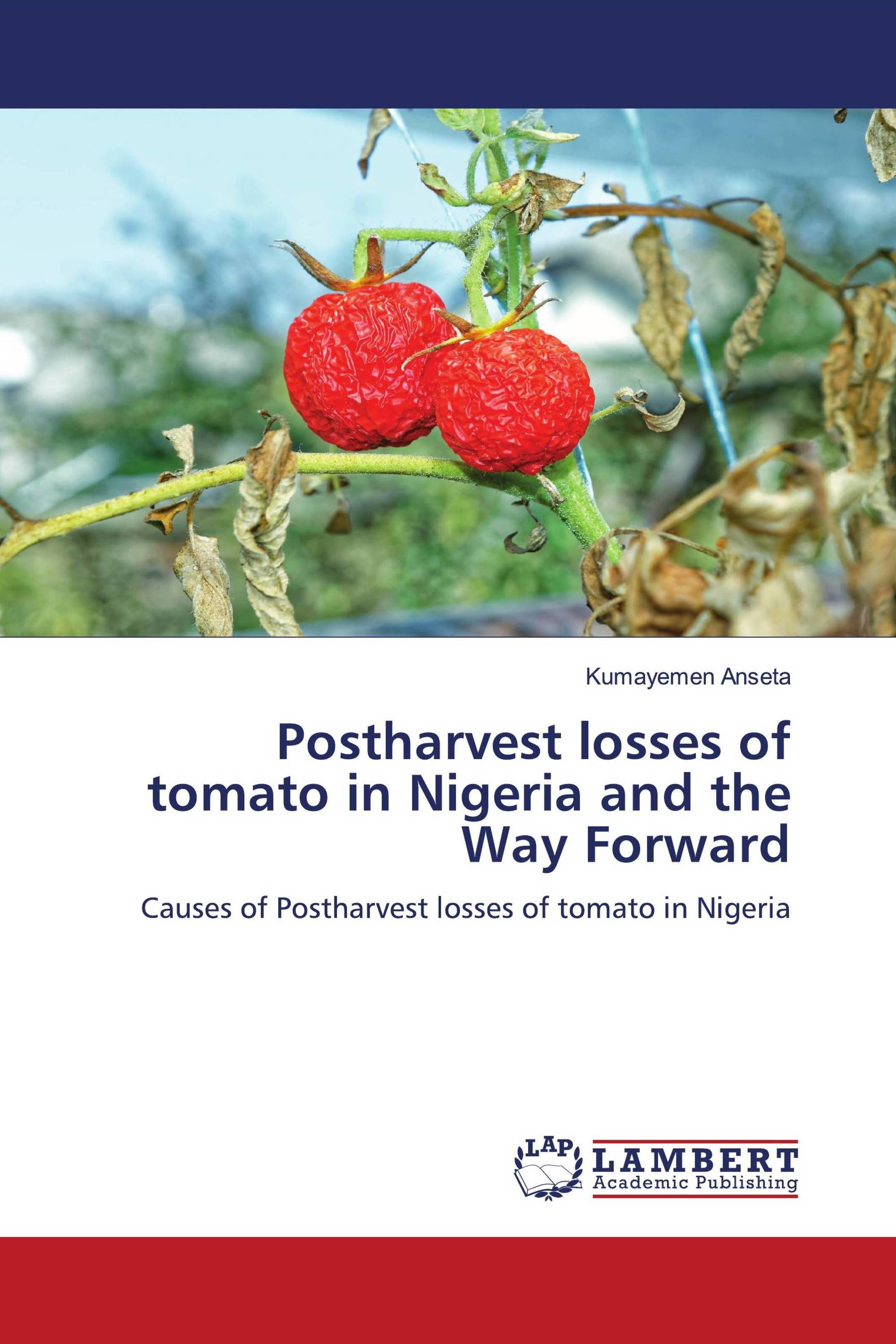 literature review on tomato in nigeria