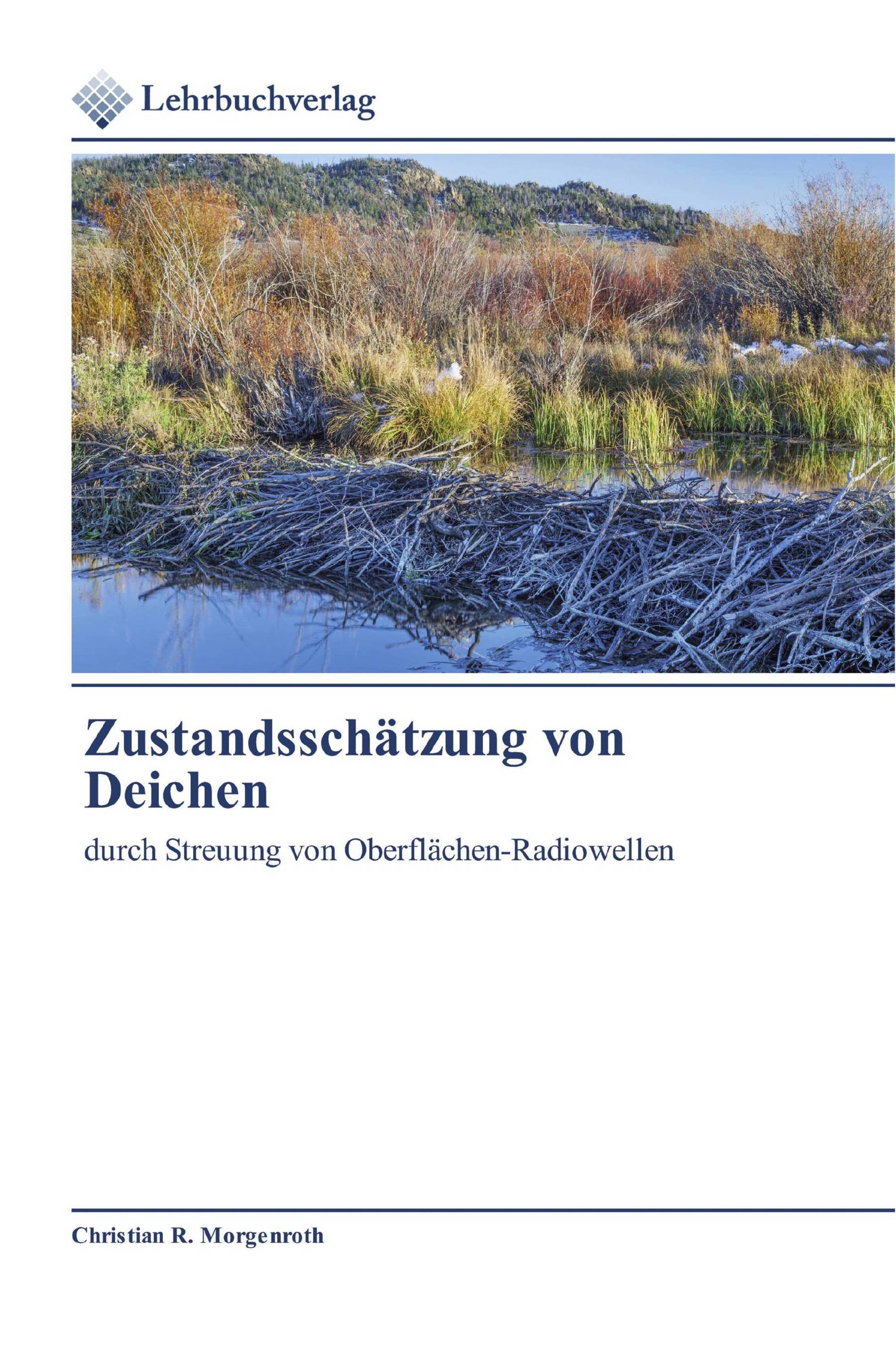 Zustandsschätzung von Deichen