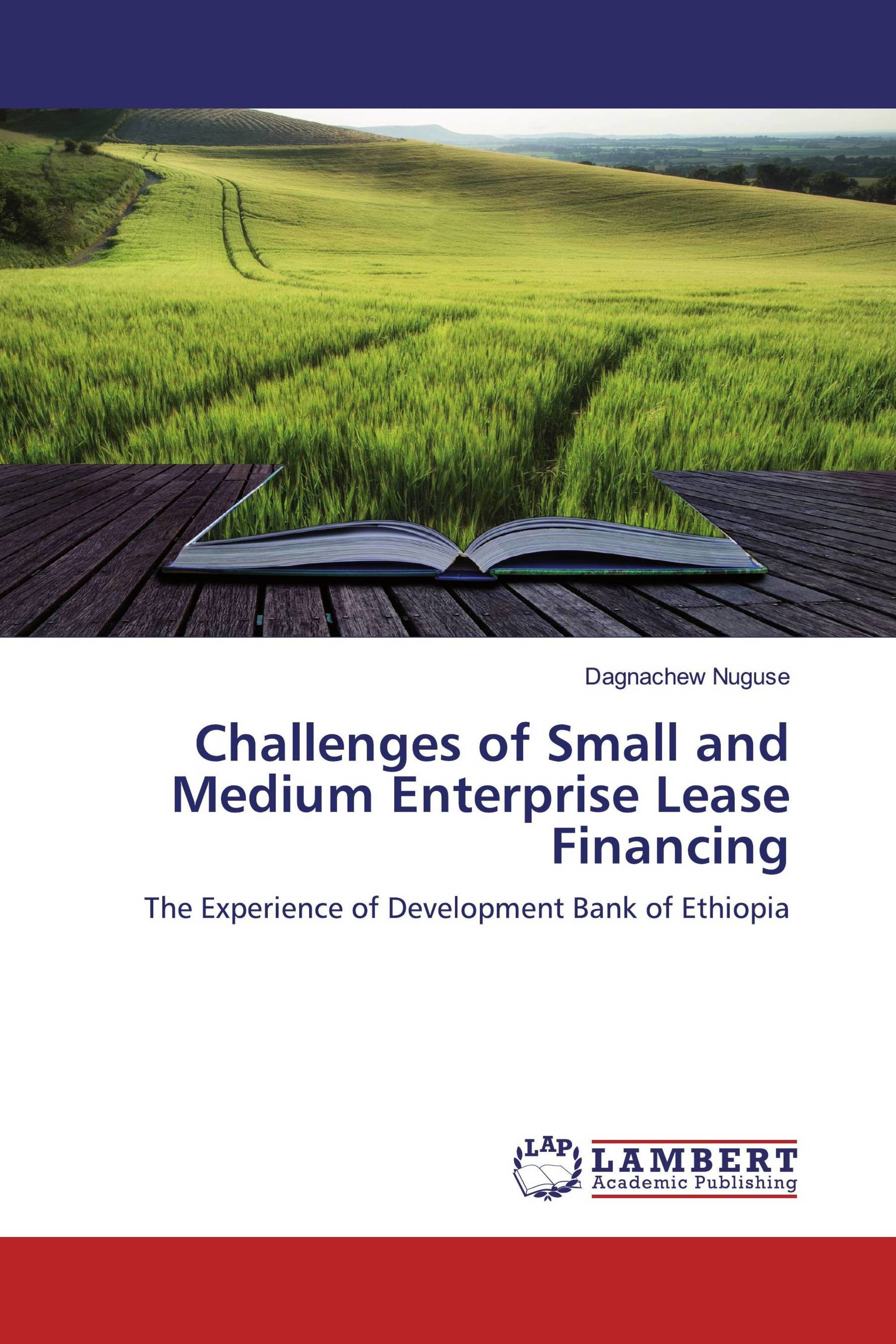 Challenges of Small and Medium Enterprise Lease Financing