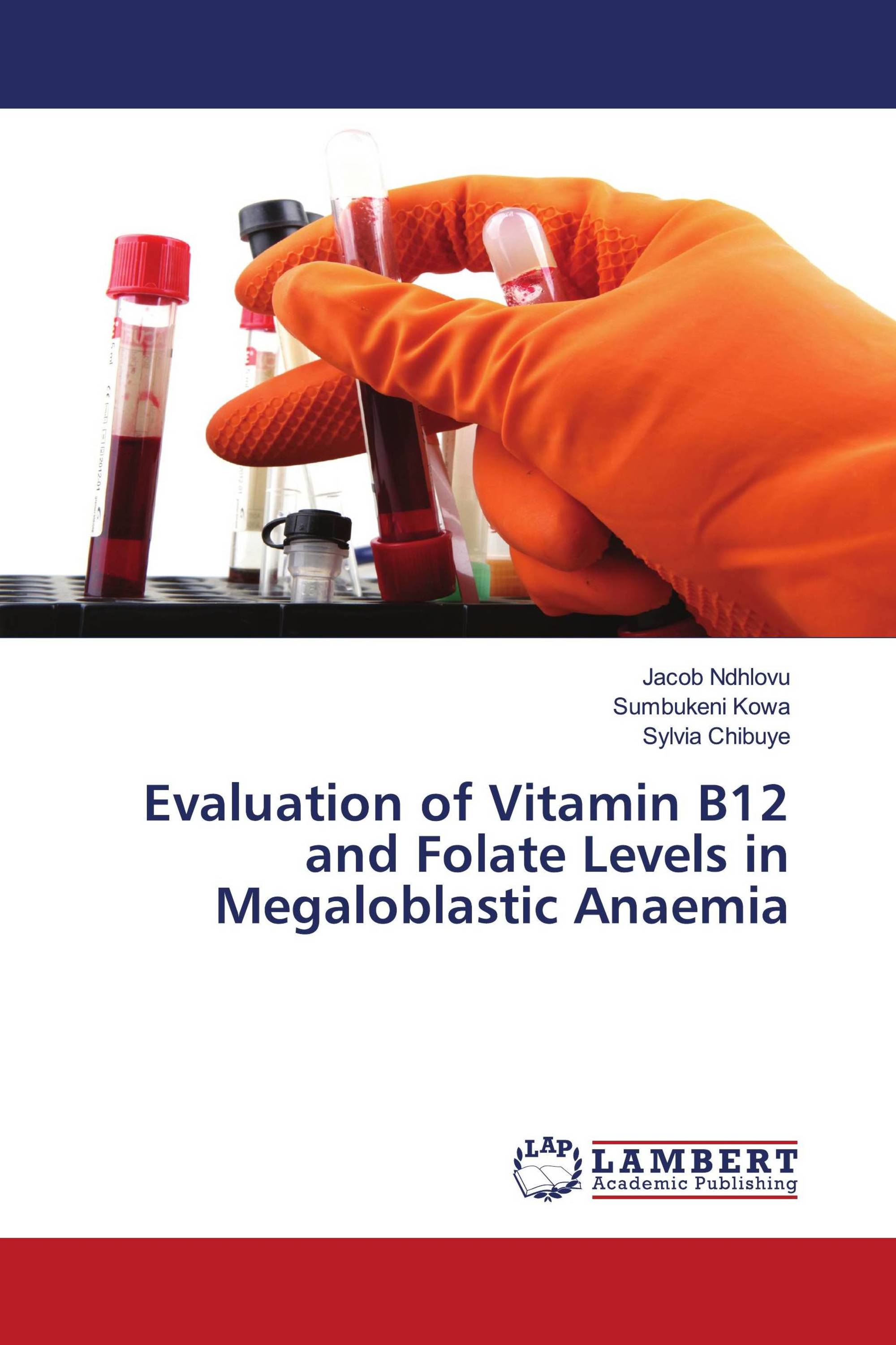 Evaluation of Vitamin B12 and Folate Levels in Megaloblastic Anaemia