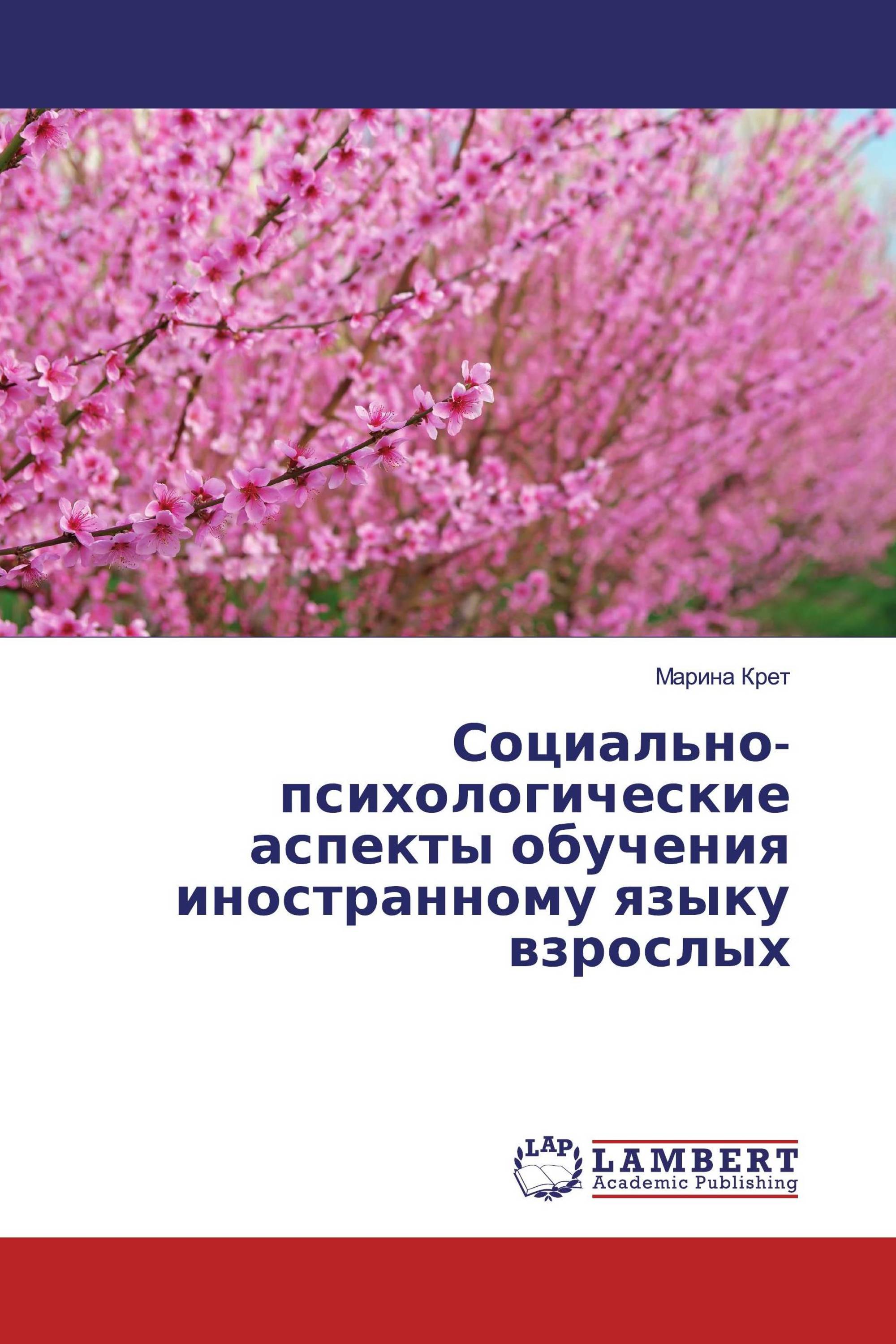 Социально-психологические аспекты обучения иностранному языку взрослых