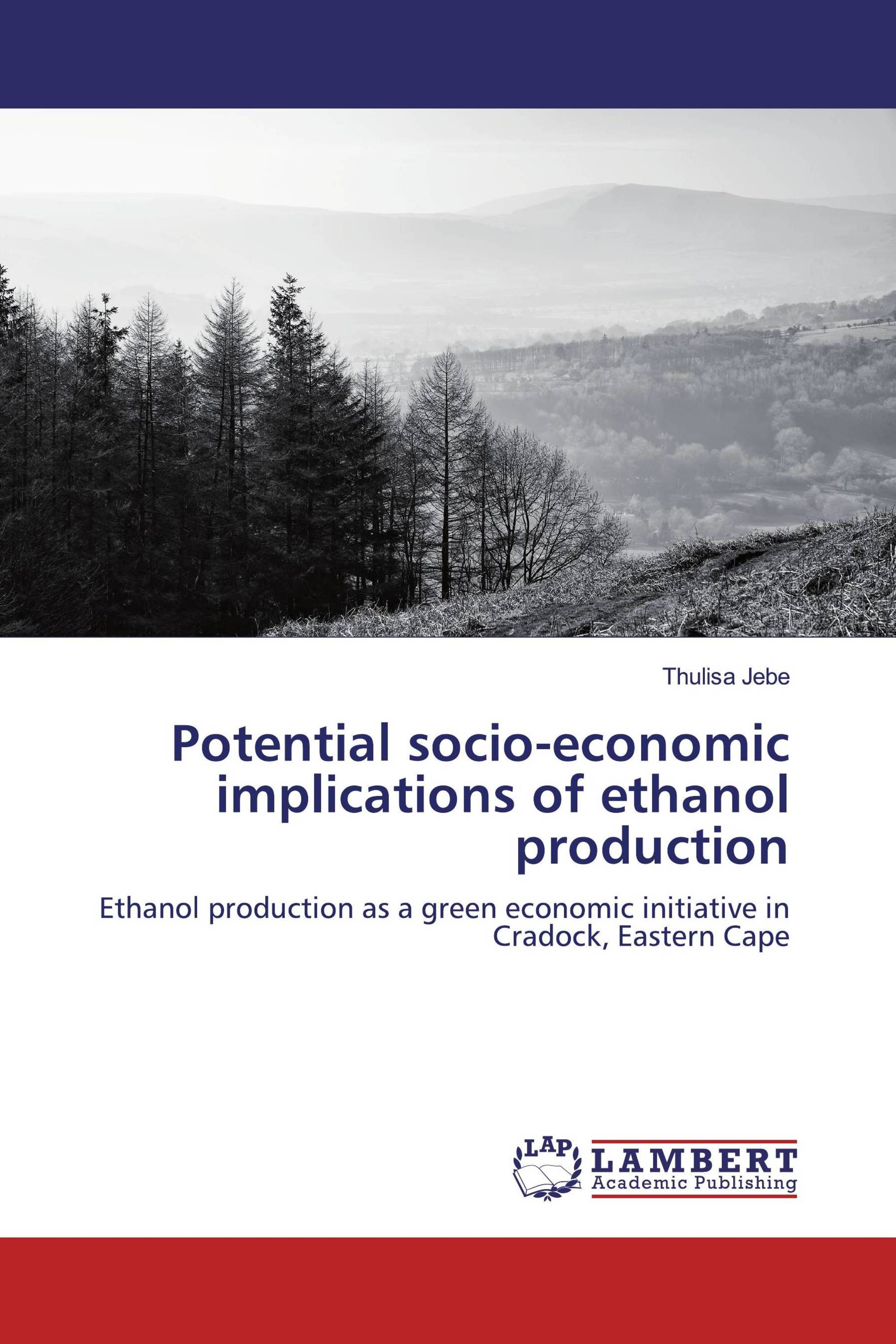 Potential socio-economic implications of ethanol production