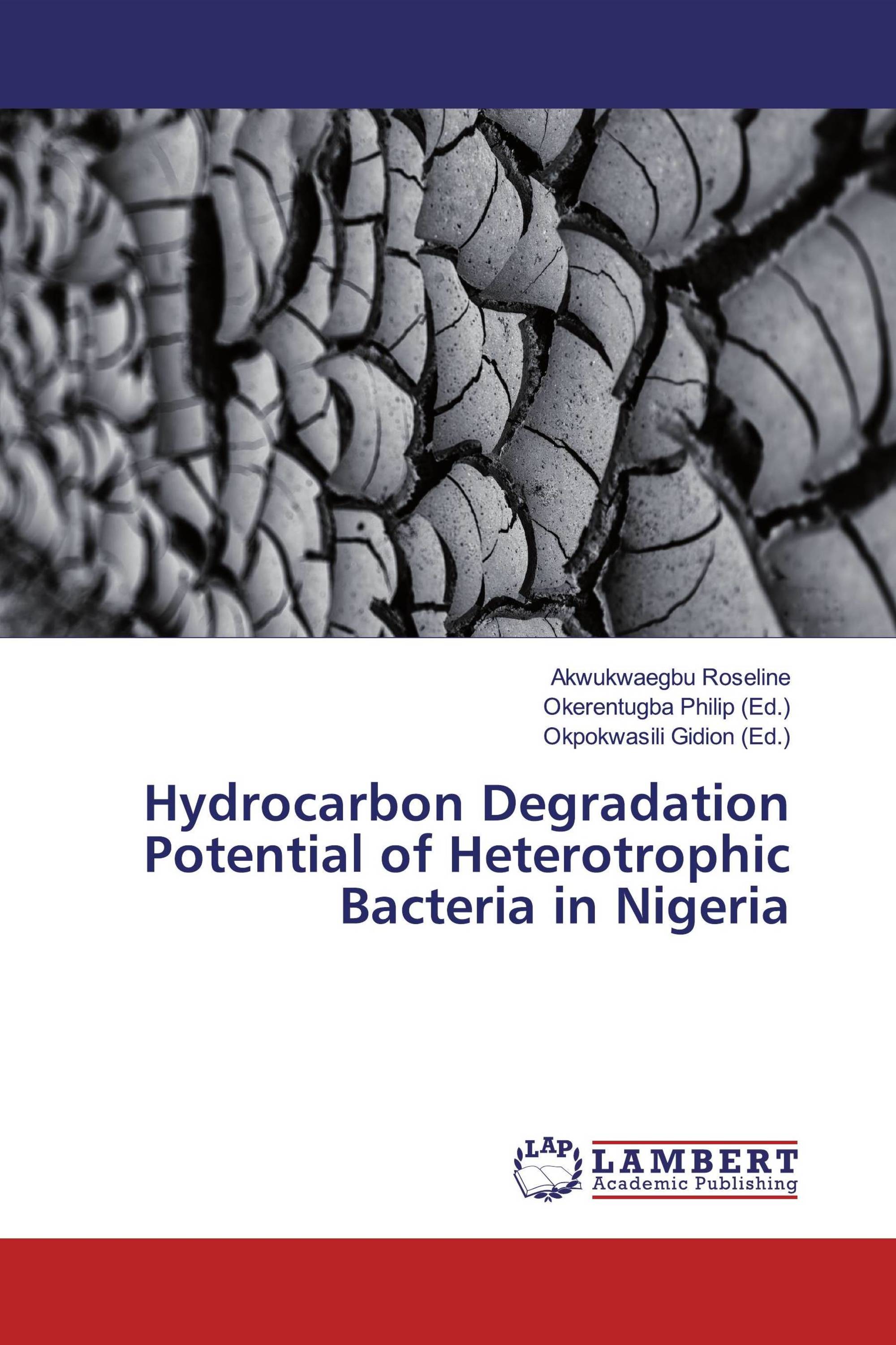 Hydrocarbon Degradation Potential of Heterotrophic Bacteria in Nigeria