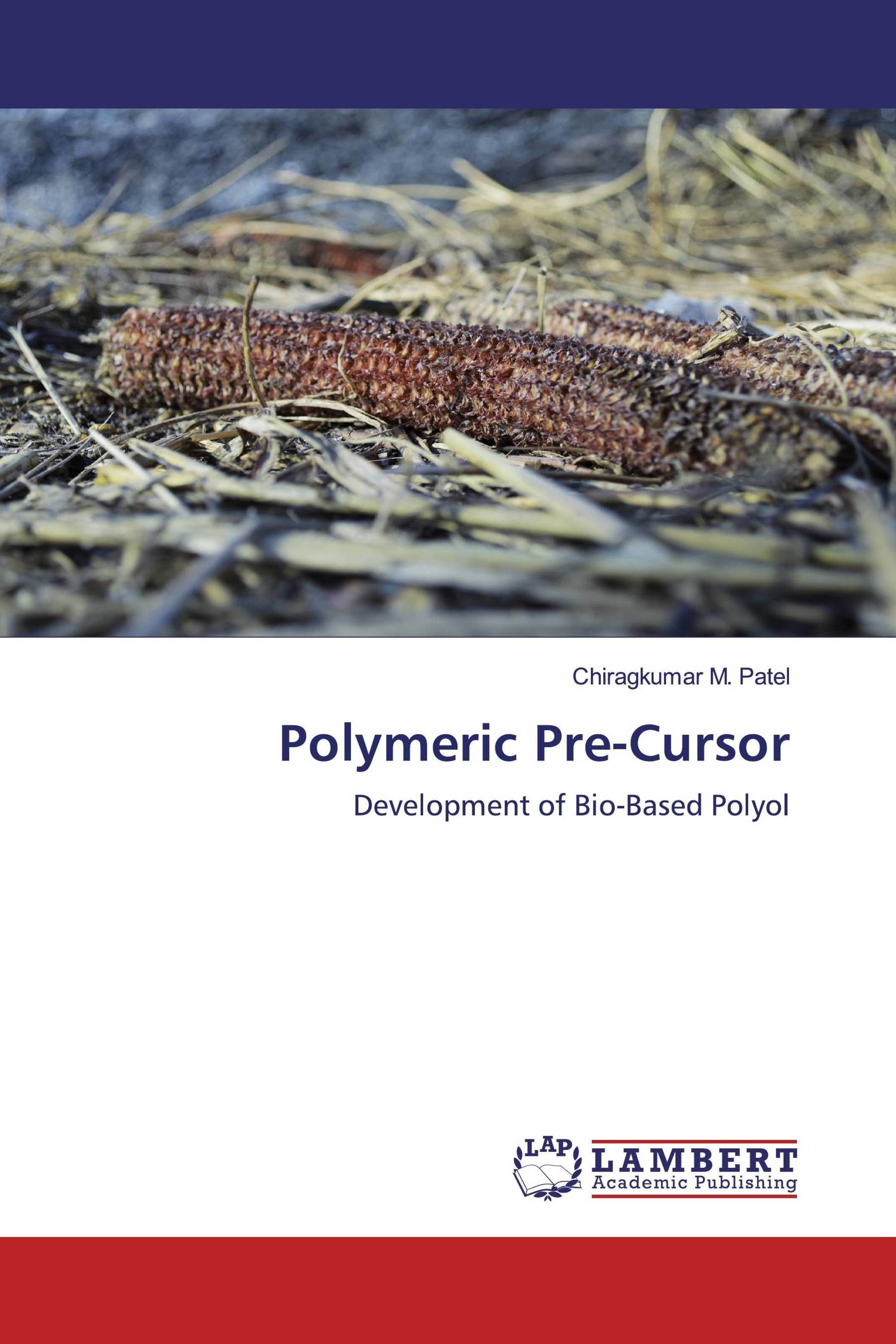 Polymeric Pre-Cursor