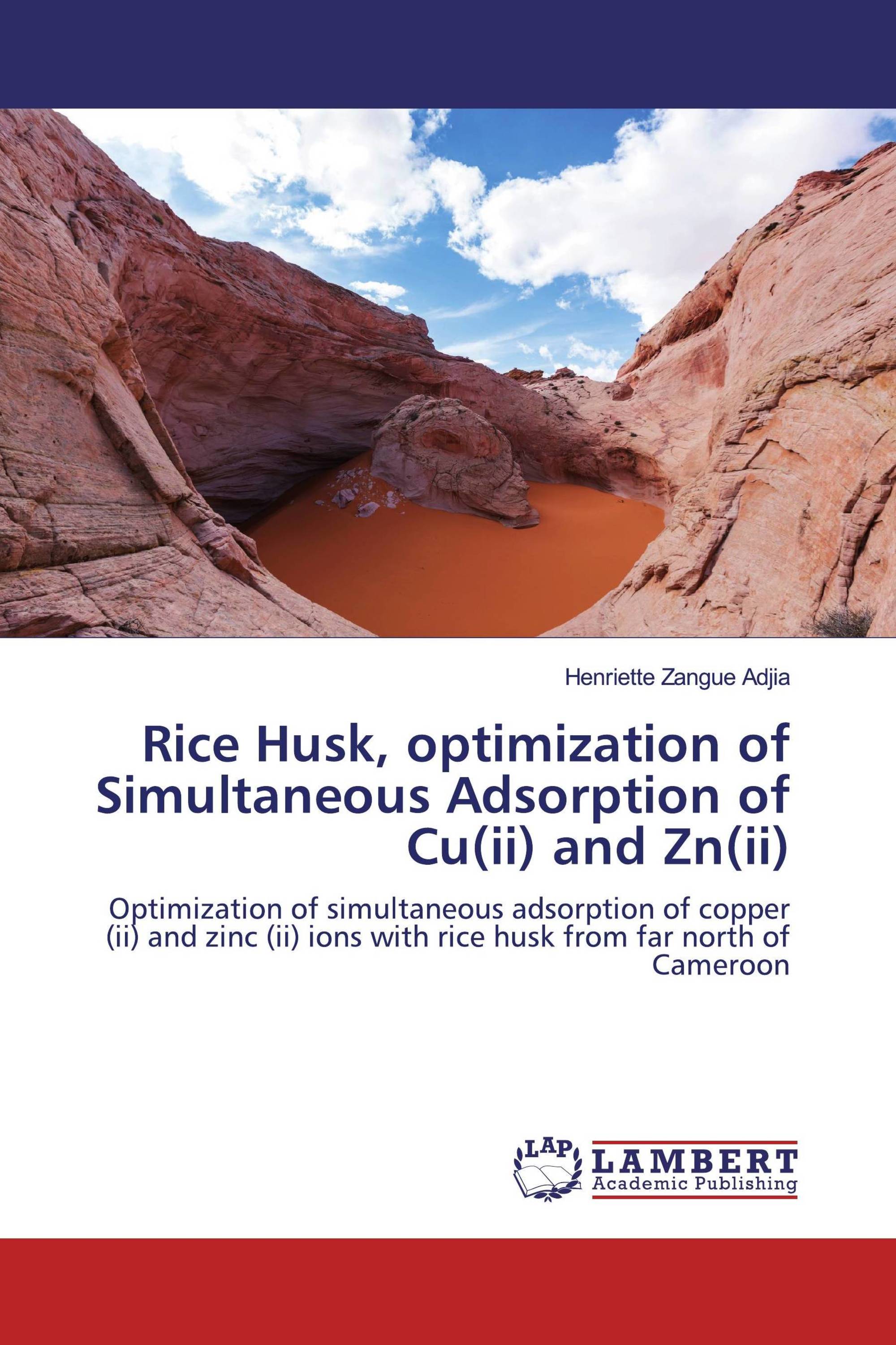 Rice Husk, optimization of Simultaneous Adsorption of Cu(ii) and Zn(ii)