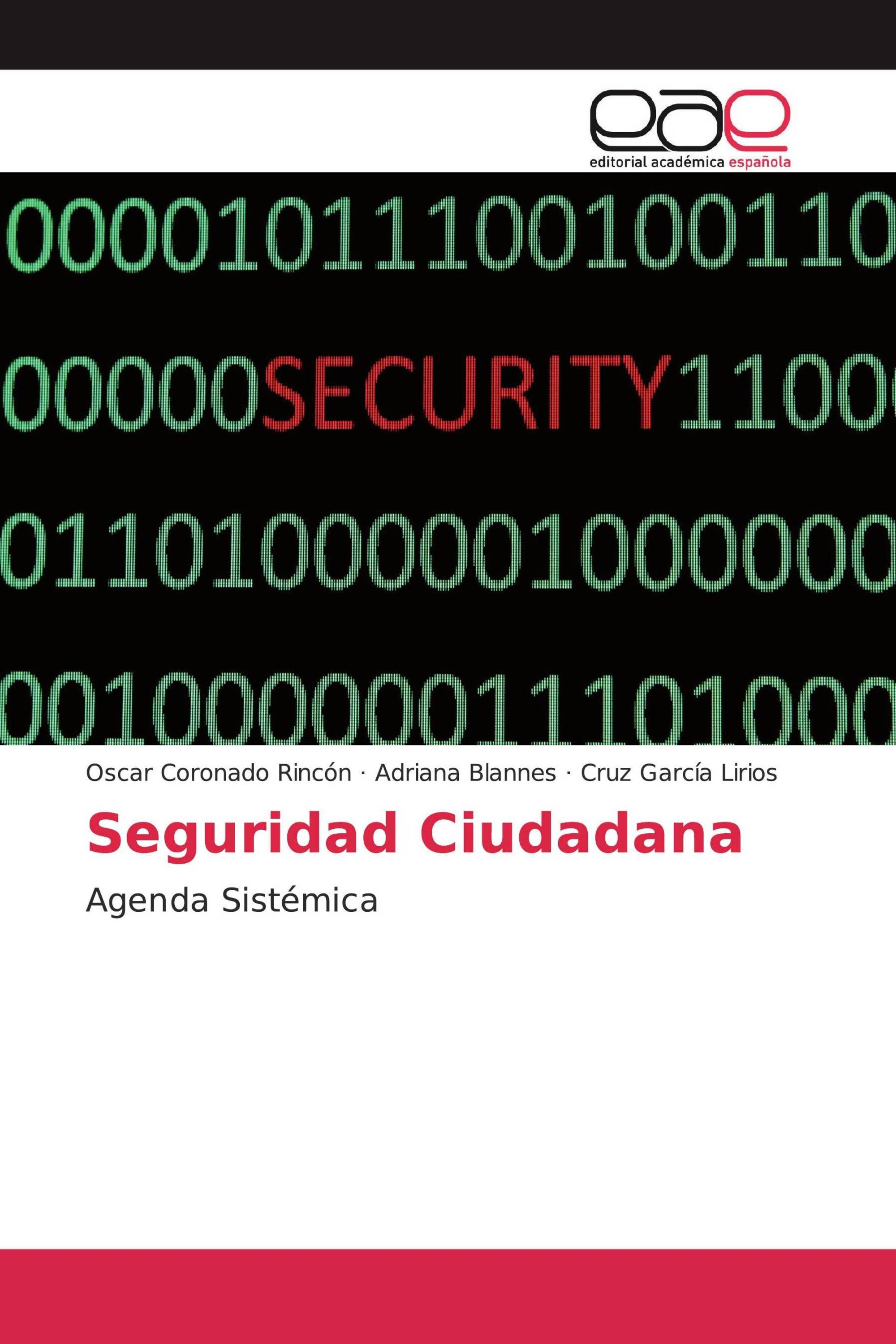 Seguridad Ciudadana